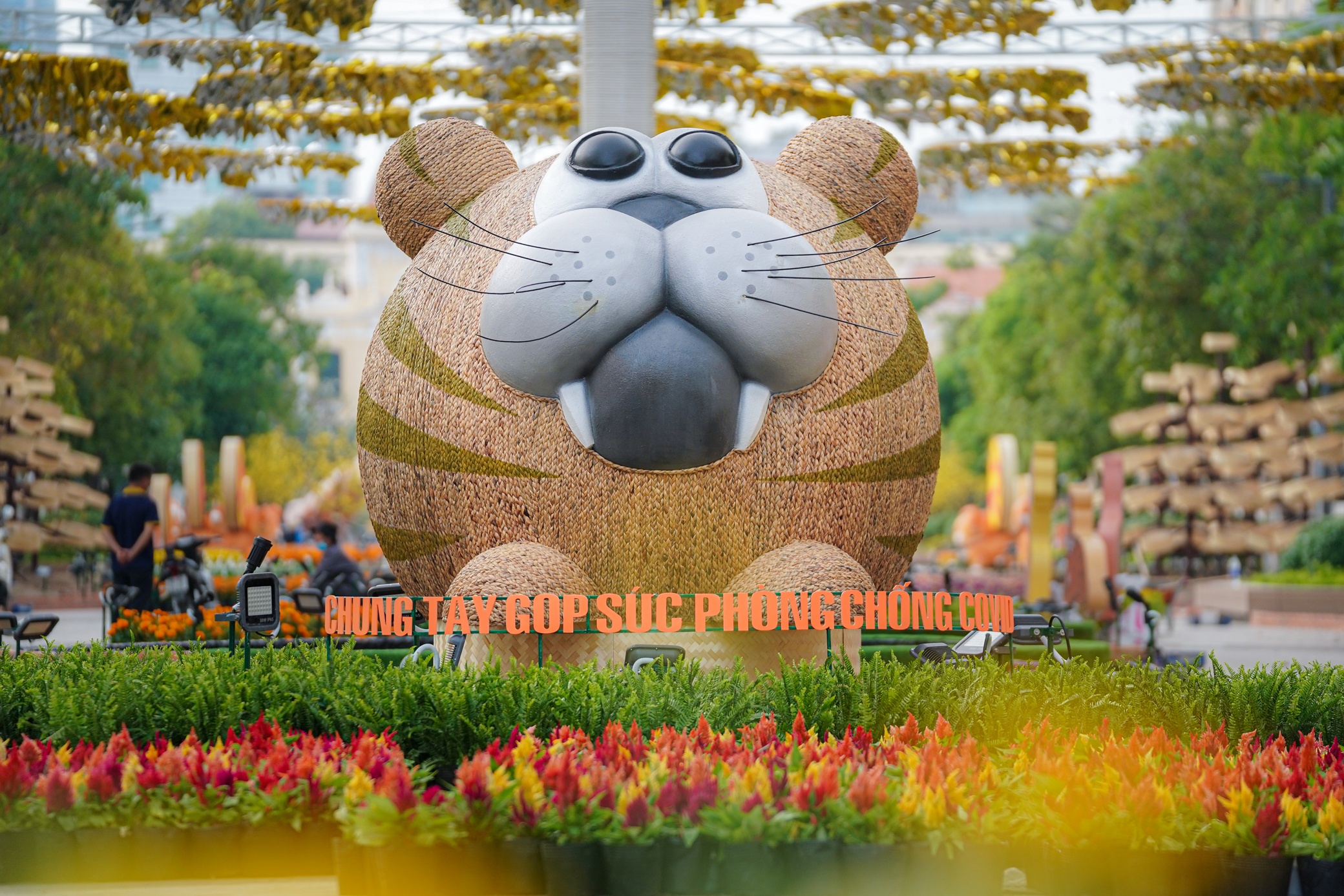 Duong hoa Nguyen Hue 2022 anh 4