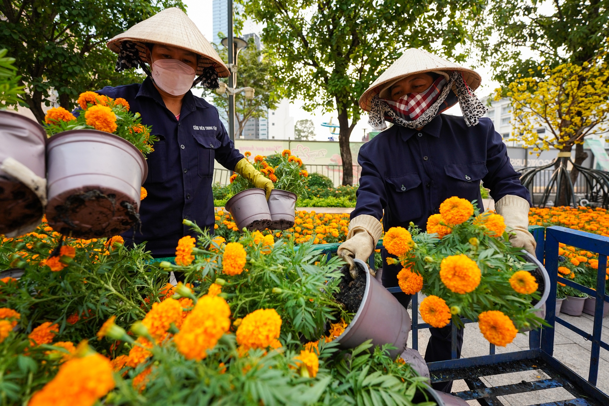 Duong hoa Nguyen Hue 2022 anh 8