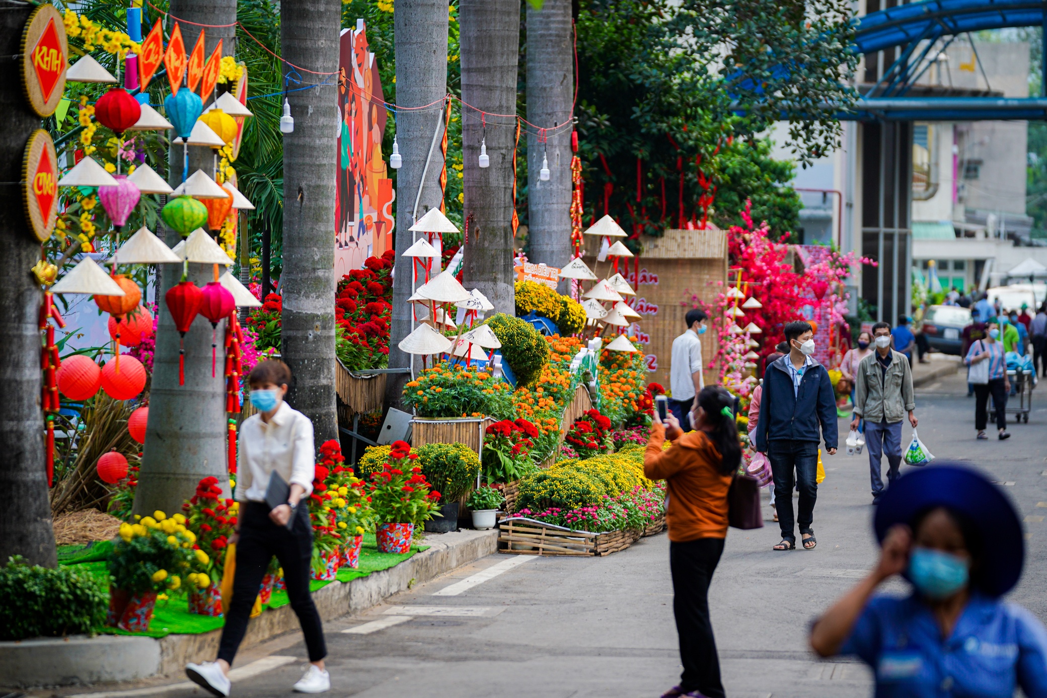 Duong hoa trong benh vien anh 2