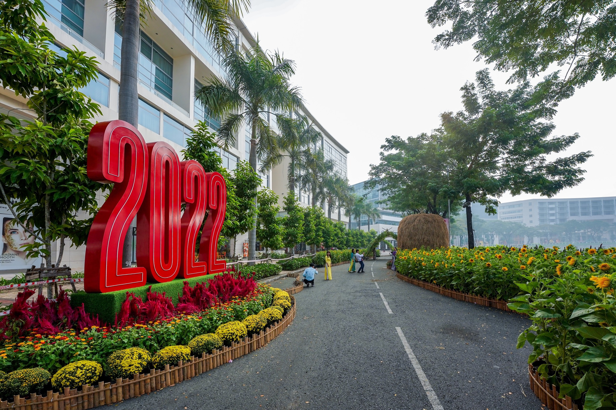 duong xuan Phu My Hung anh 4