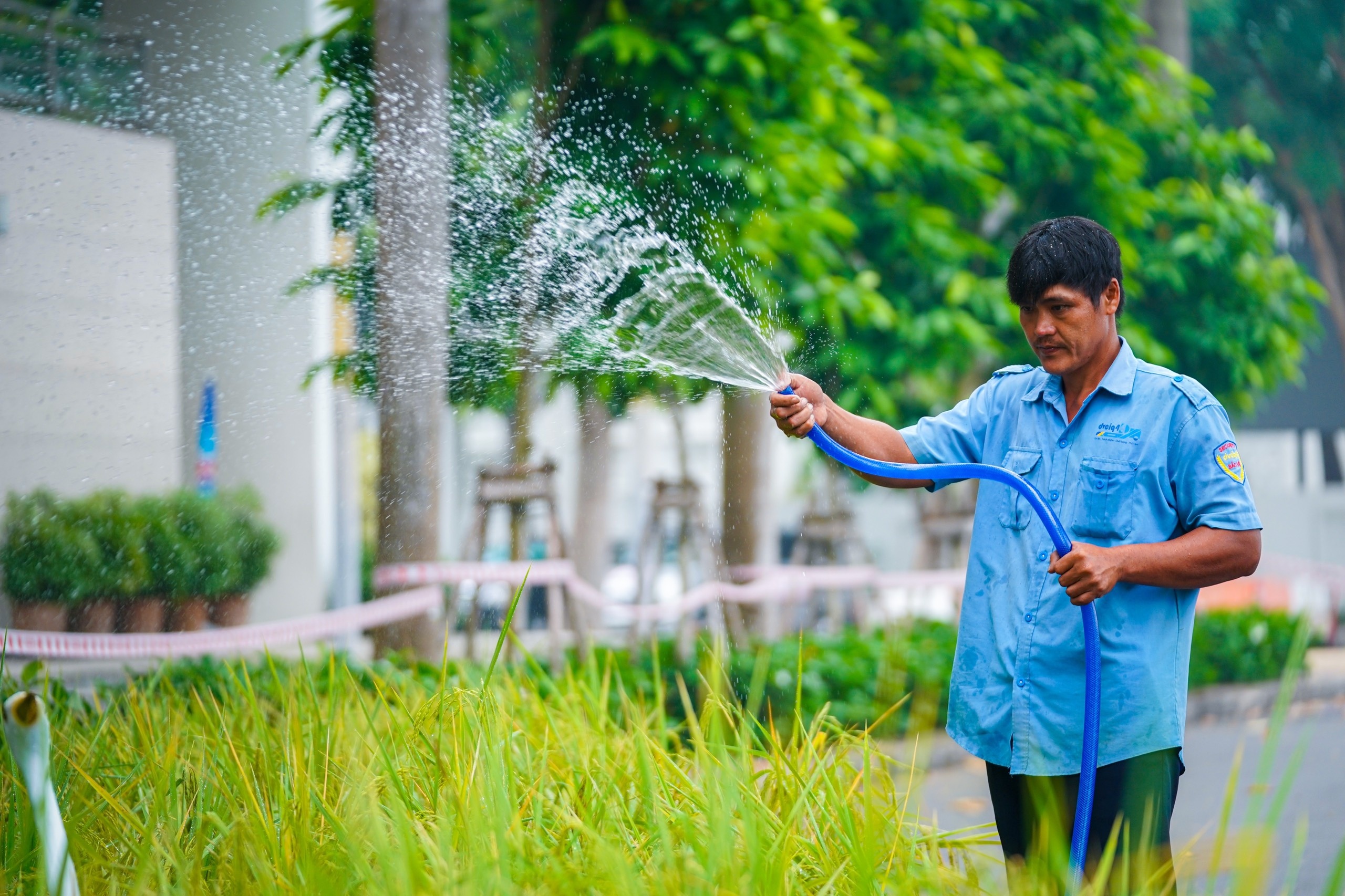 duong xuan Phu My Hung anh 9