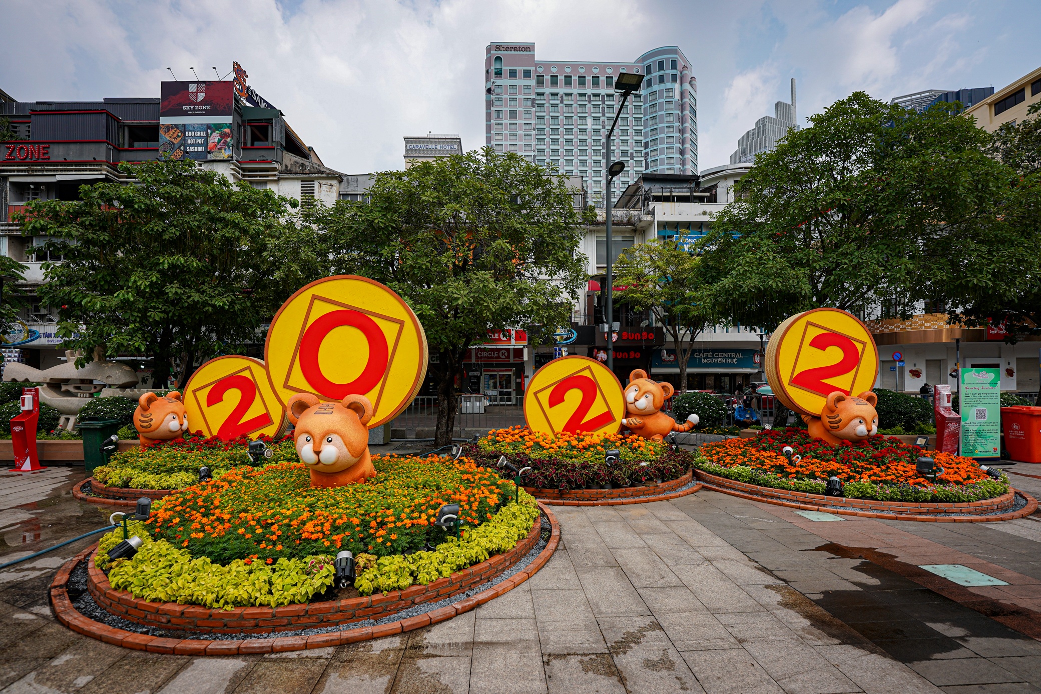 Duong hoa truoc khi hoat dong anh 9