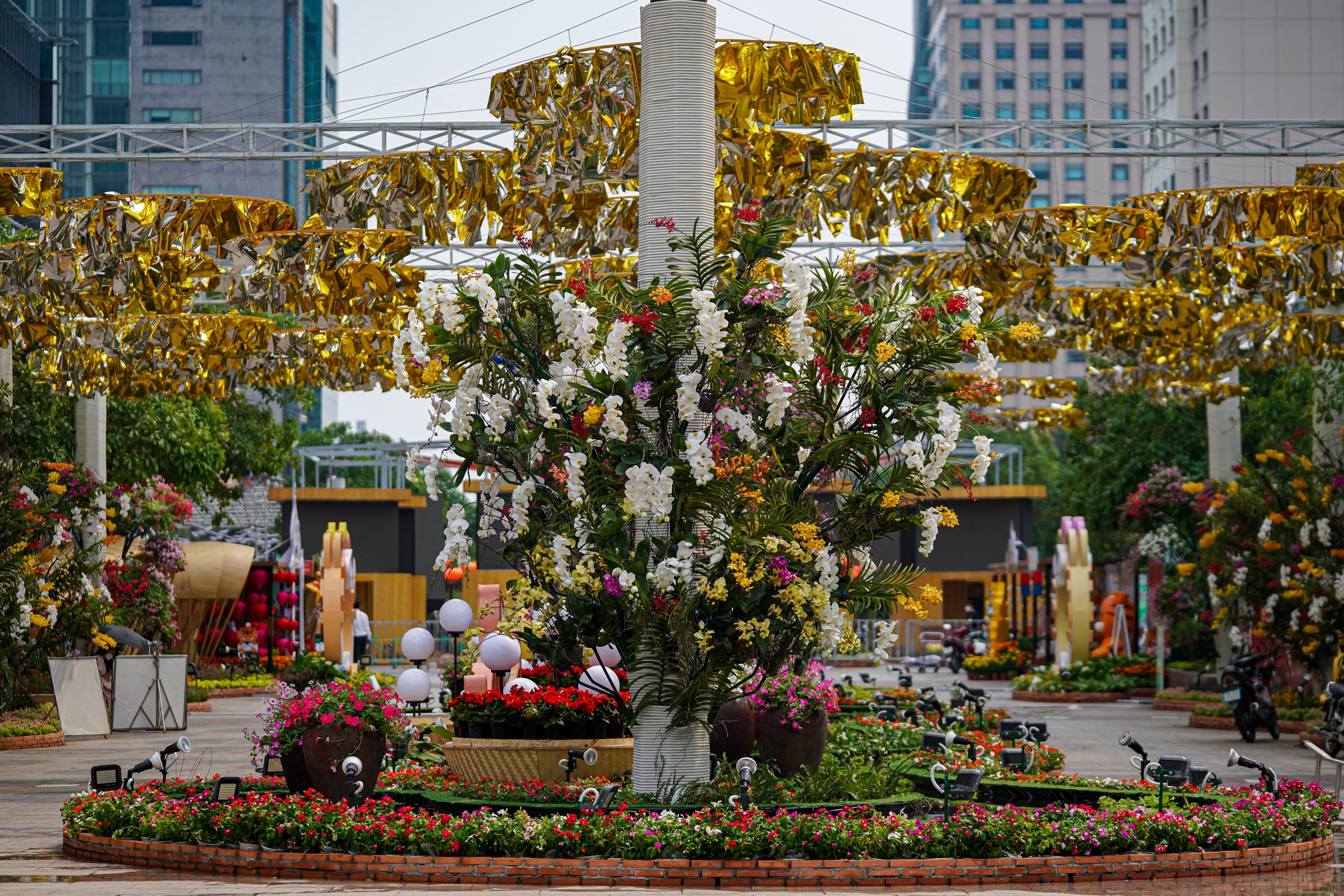 Duong hoa truoc khi hoat dong anh 5