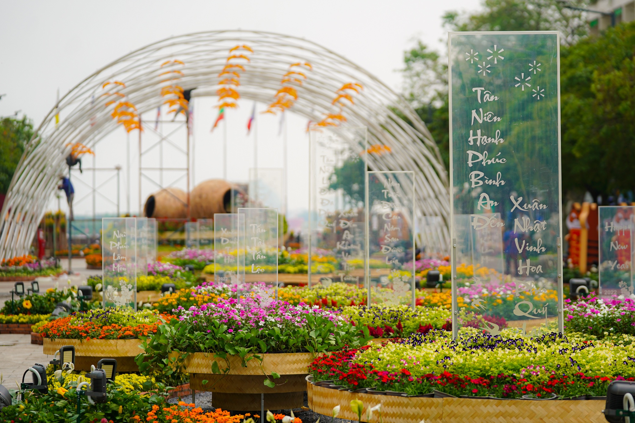 Duong hoa truoc khi hoat dong anh 6