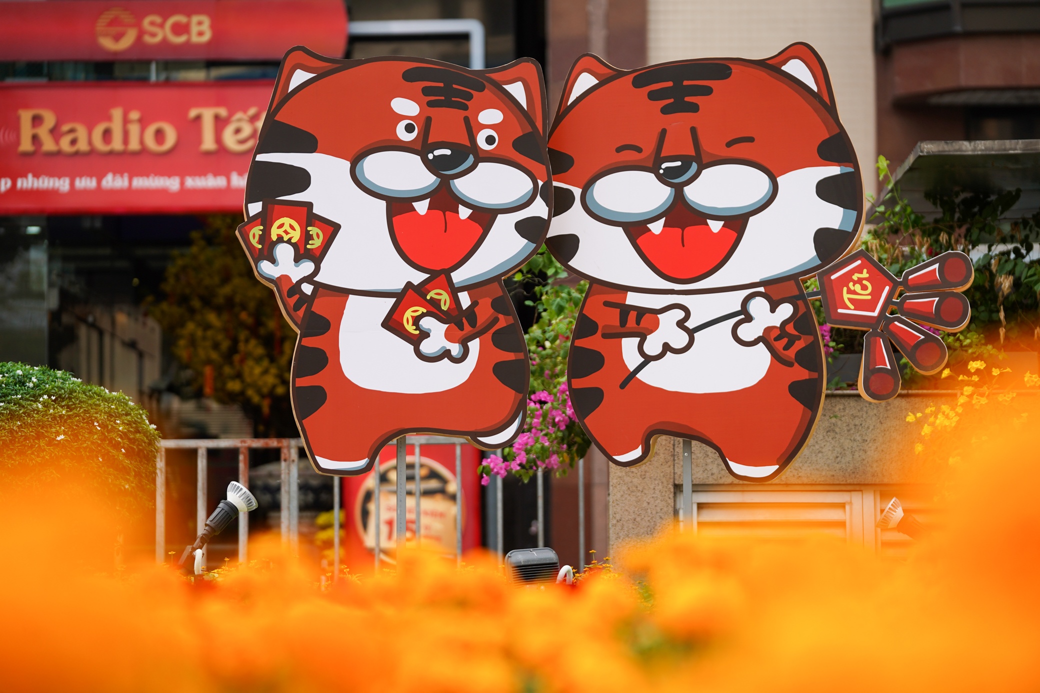 Duong hoa truoc khi hoat dong anh 27