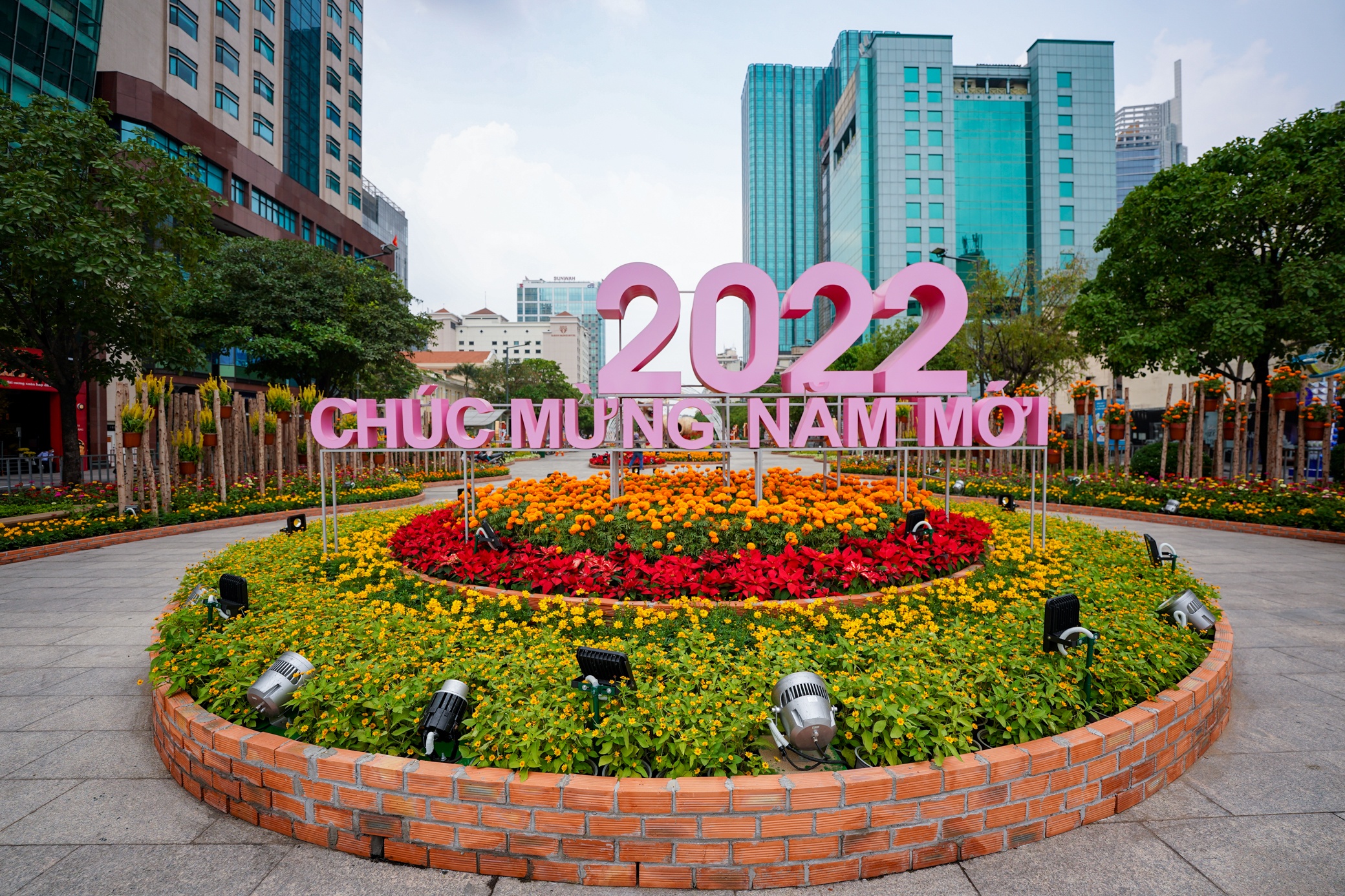 Duong hoa truoc khi hoat dong anh 4