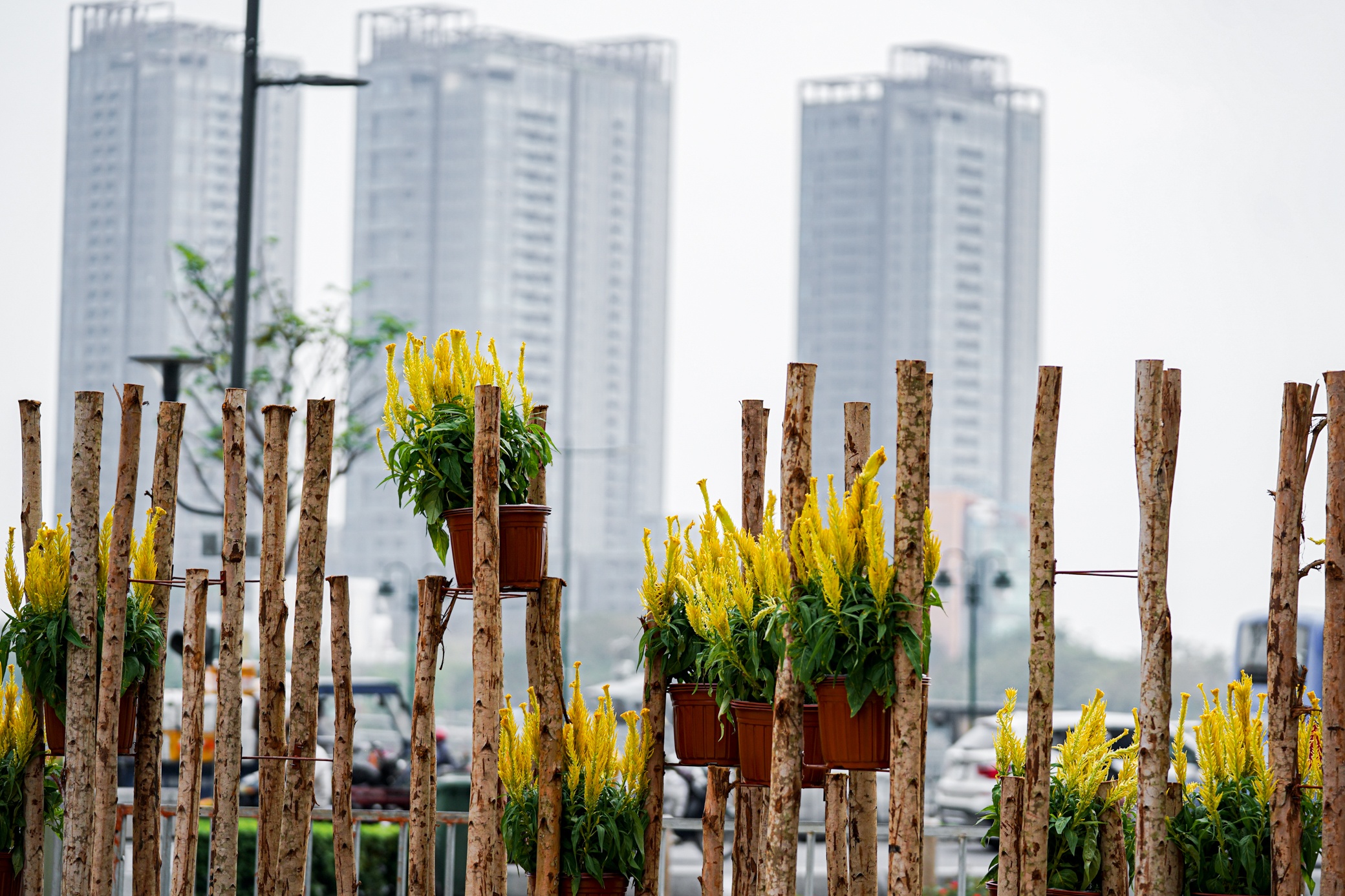 Duong hoa truoc khi hoat dong anh 20