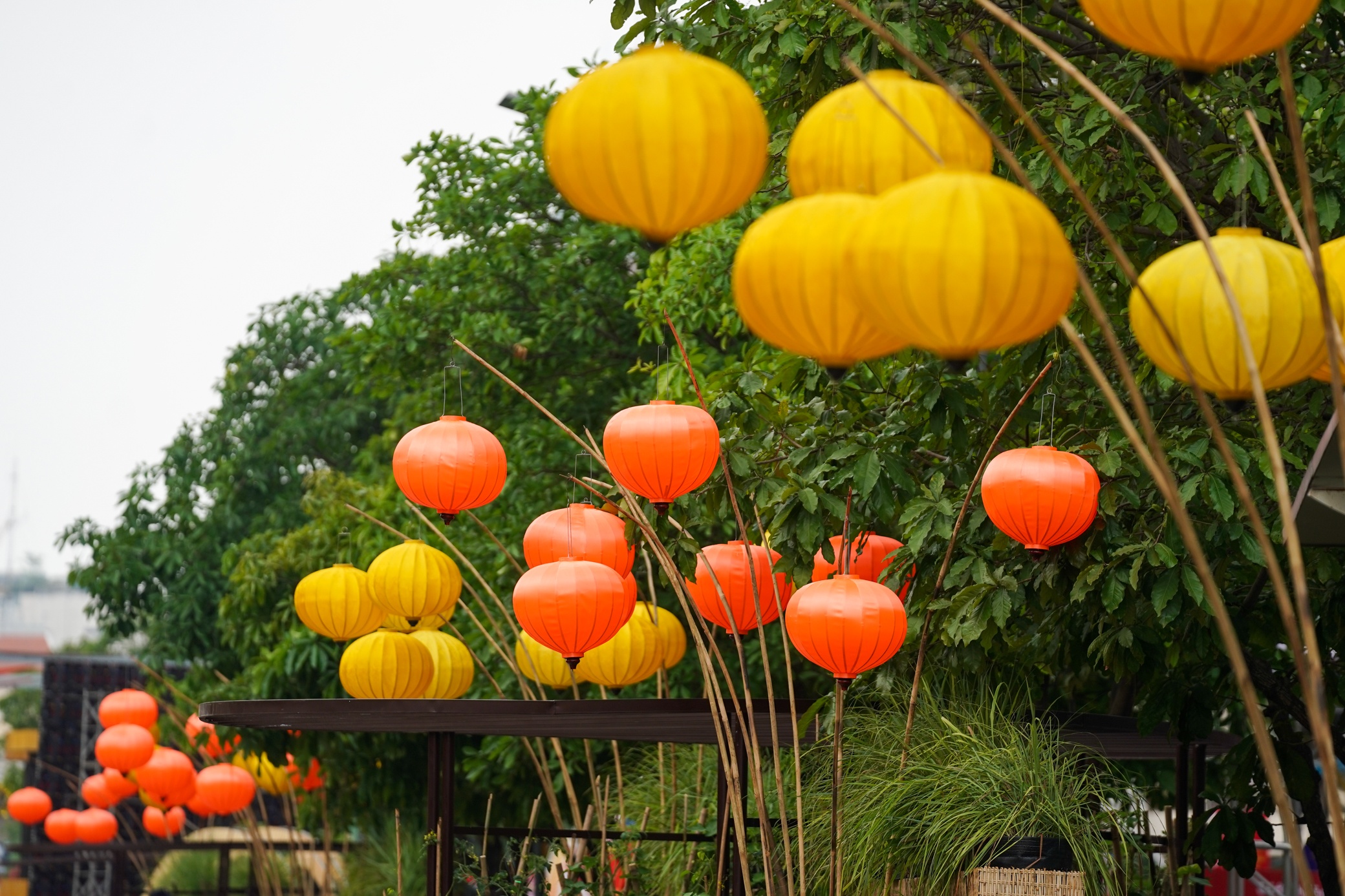 Duong hoa truoc khi hoat dong anh 17