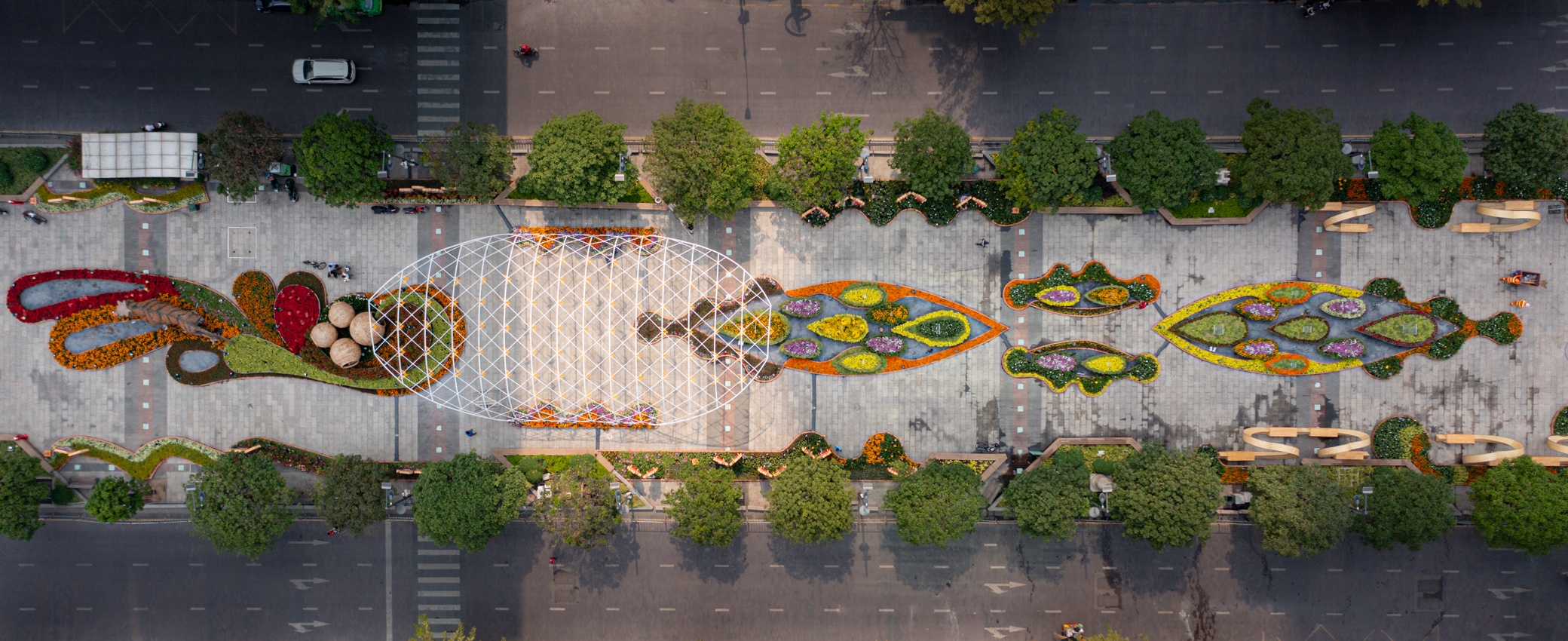 Duong hoa truoc khi hoat dong anh 7