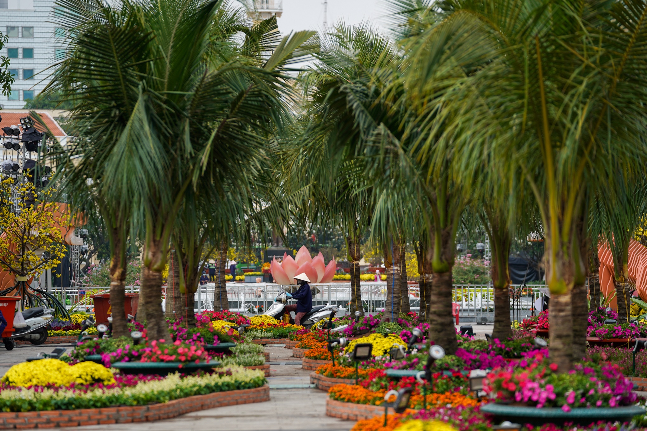 Duong hoa truoc khi hoat dong anh 8