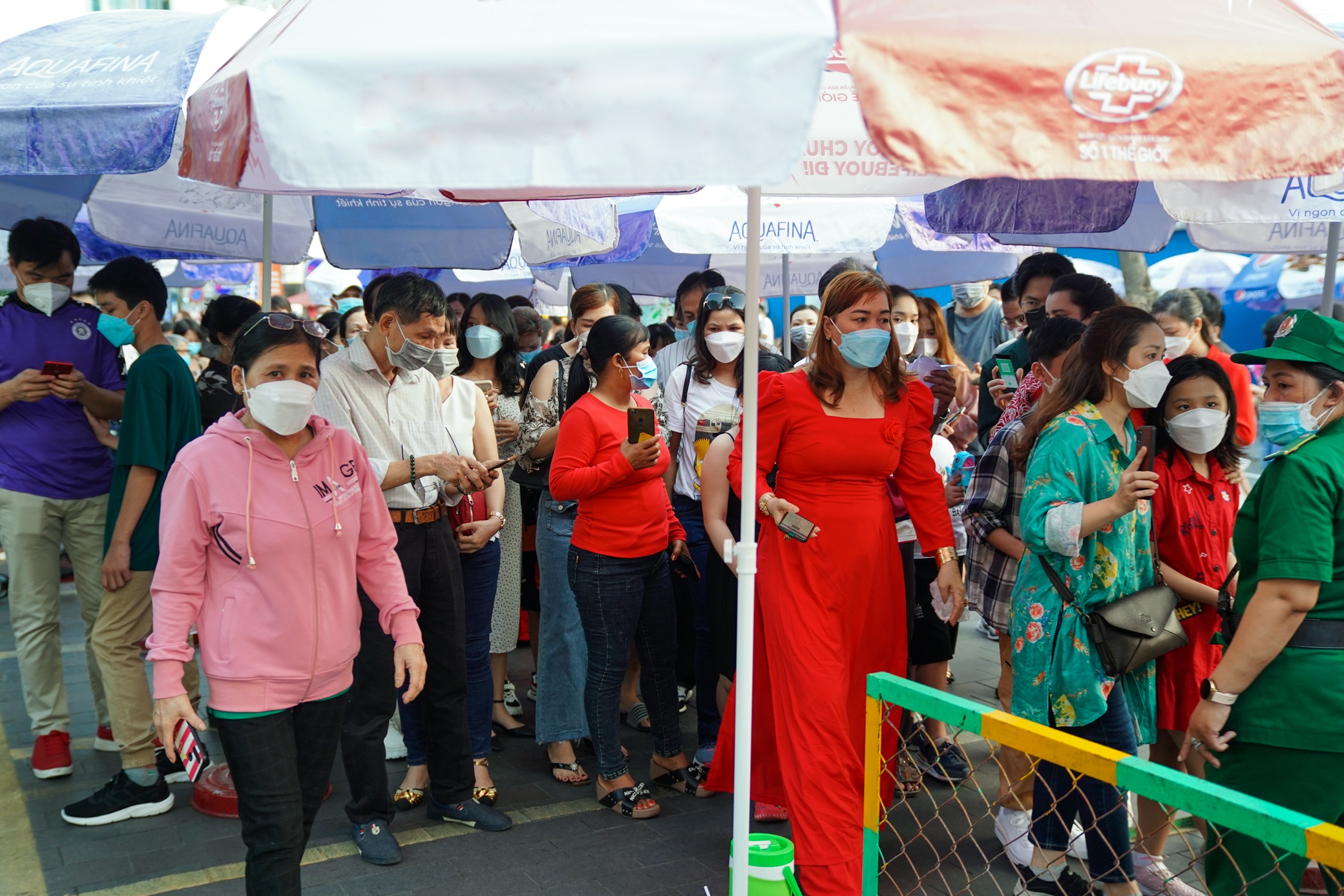 duong hoa ngay 28 tet anh 2