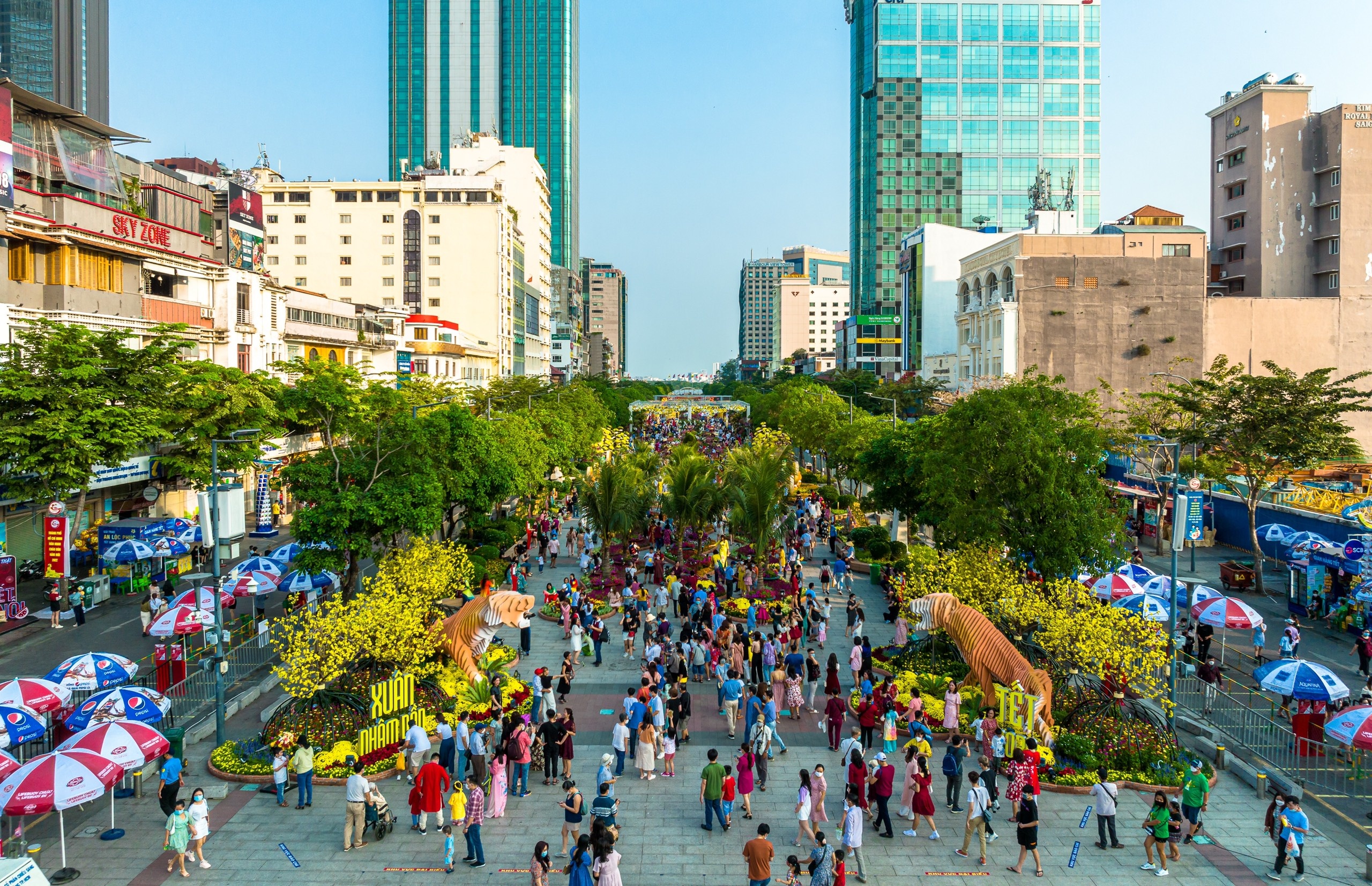 duong hoa ngay 28 tet anh 1