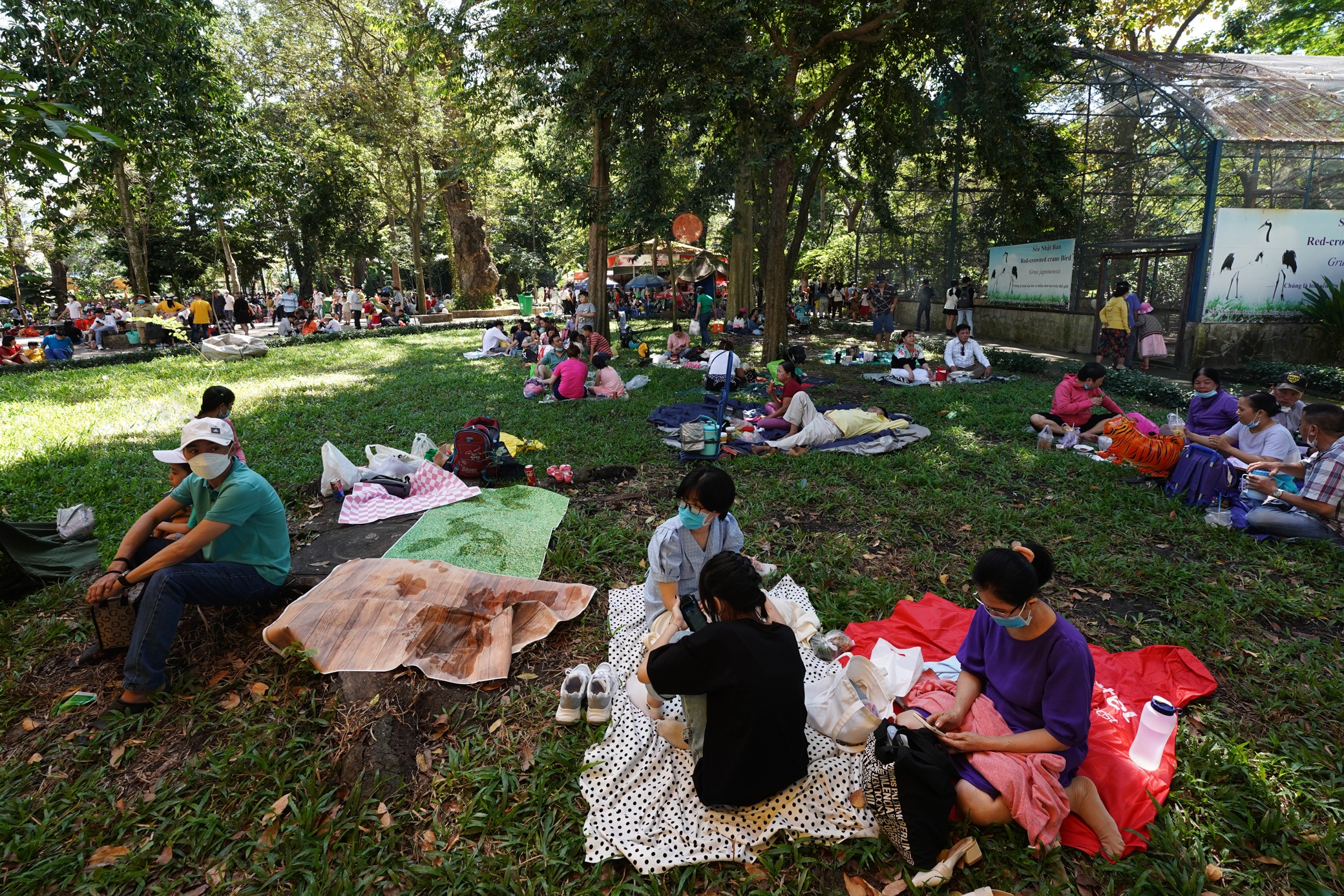 Thao cam vien tet Nham Dan anh 9