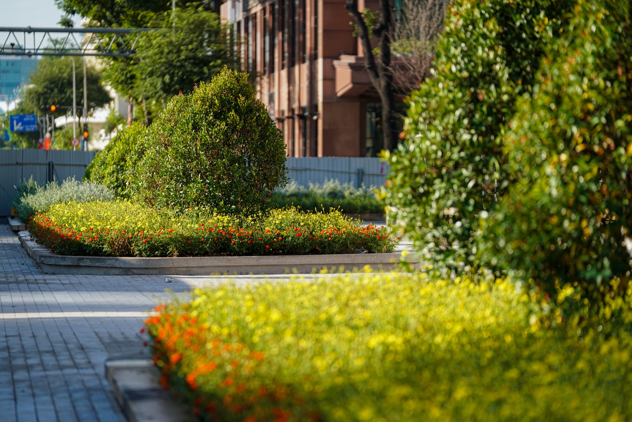 Cai tao Cong vien Me Linh va tuong Tran Hung Dao anh 8