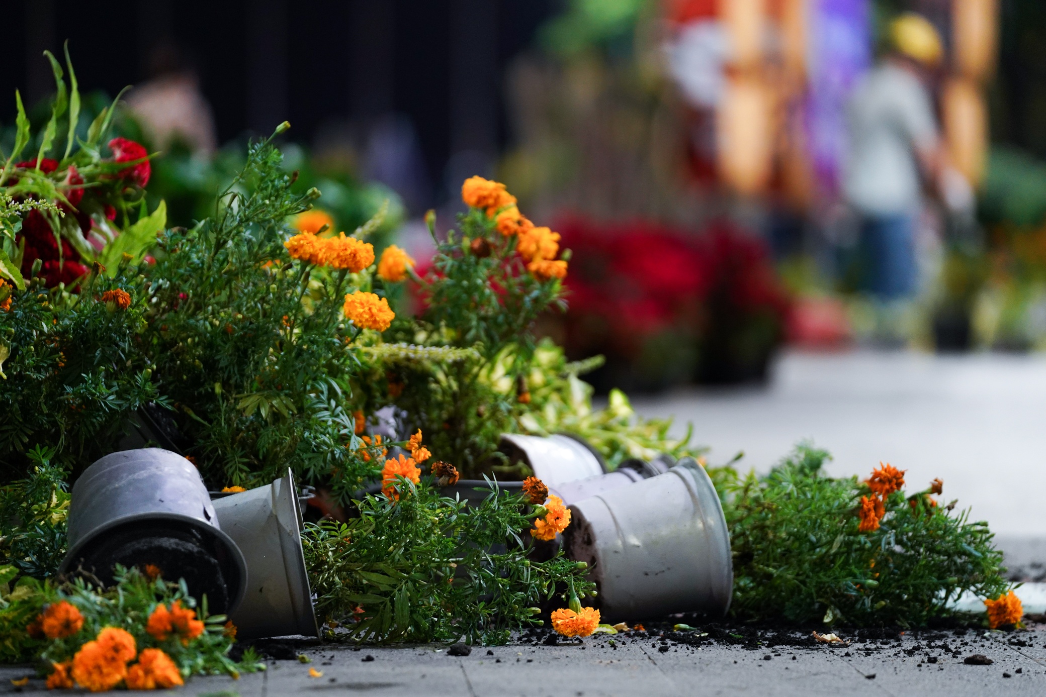 Don dep duong hoa Nguyen Hue anh 7