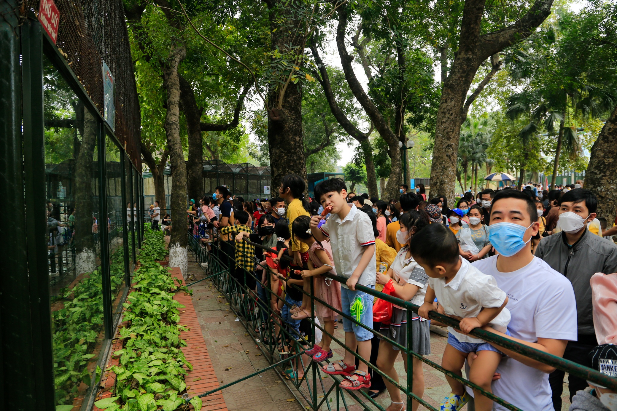 Le gio To Hung Vuong o Ha Noi anh 5