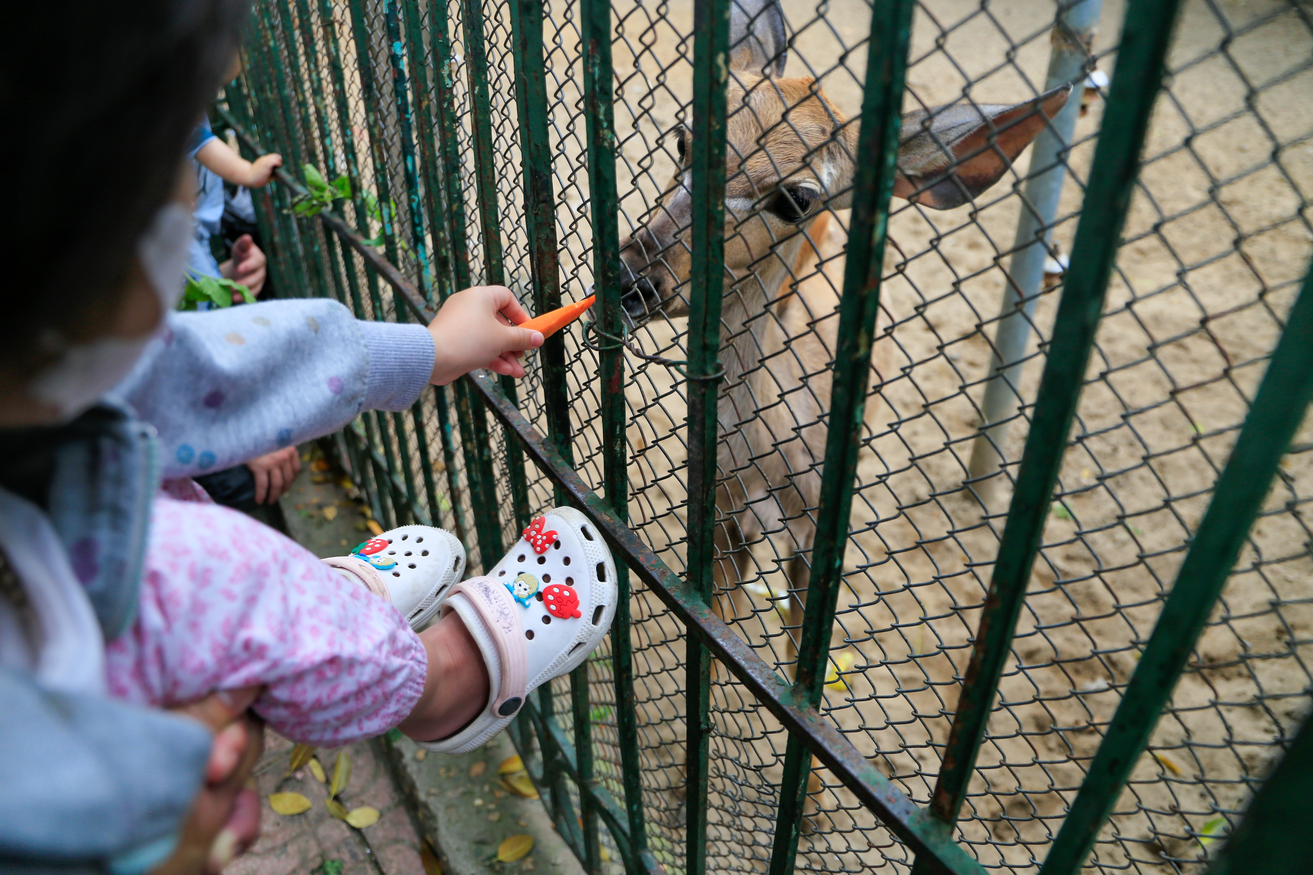 Le gio To Hung Vuong o Ha Noi anh 6
