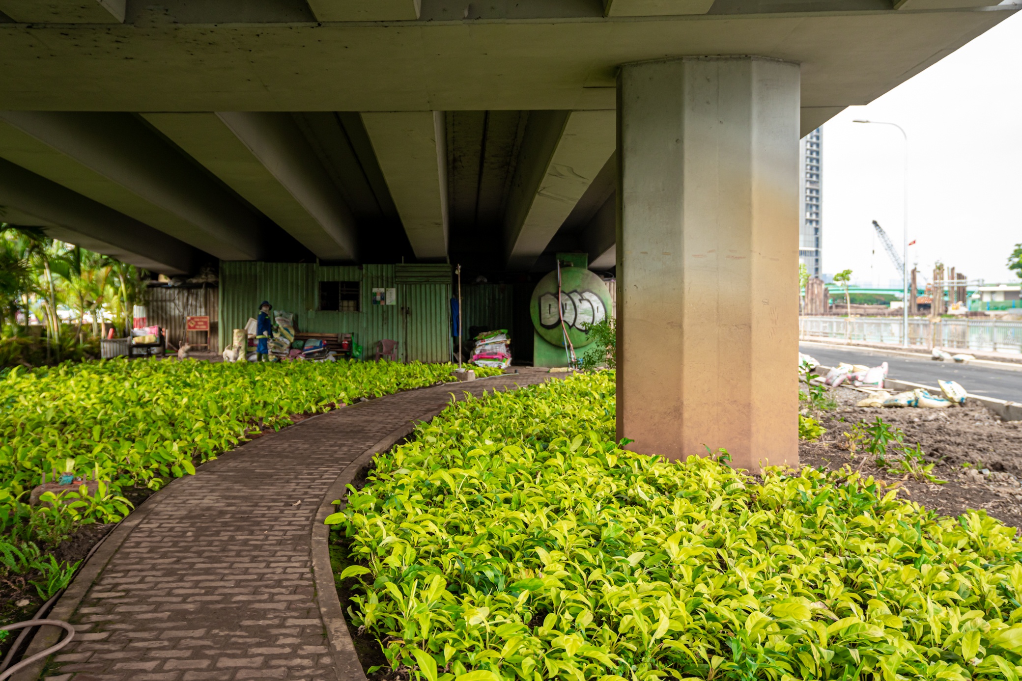 Duong song hanh Vo Van Kiet anh 7