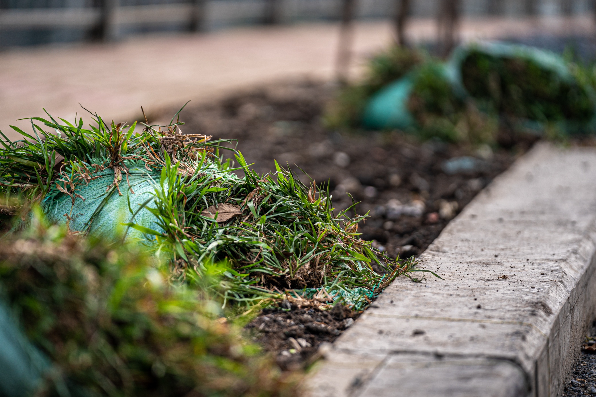 Duong song hanh Vo Van Kiet anh 8