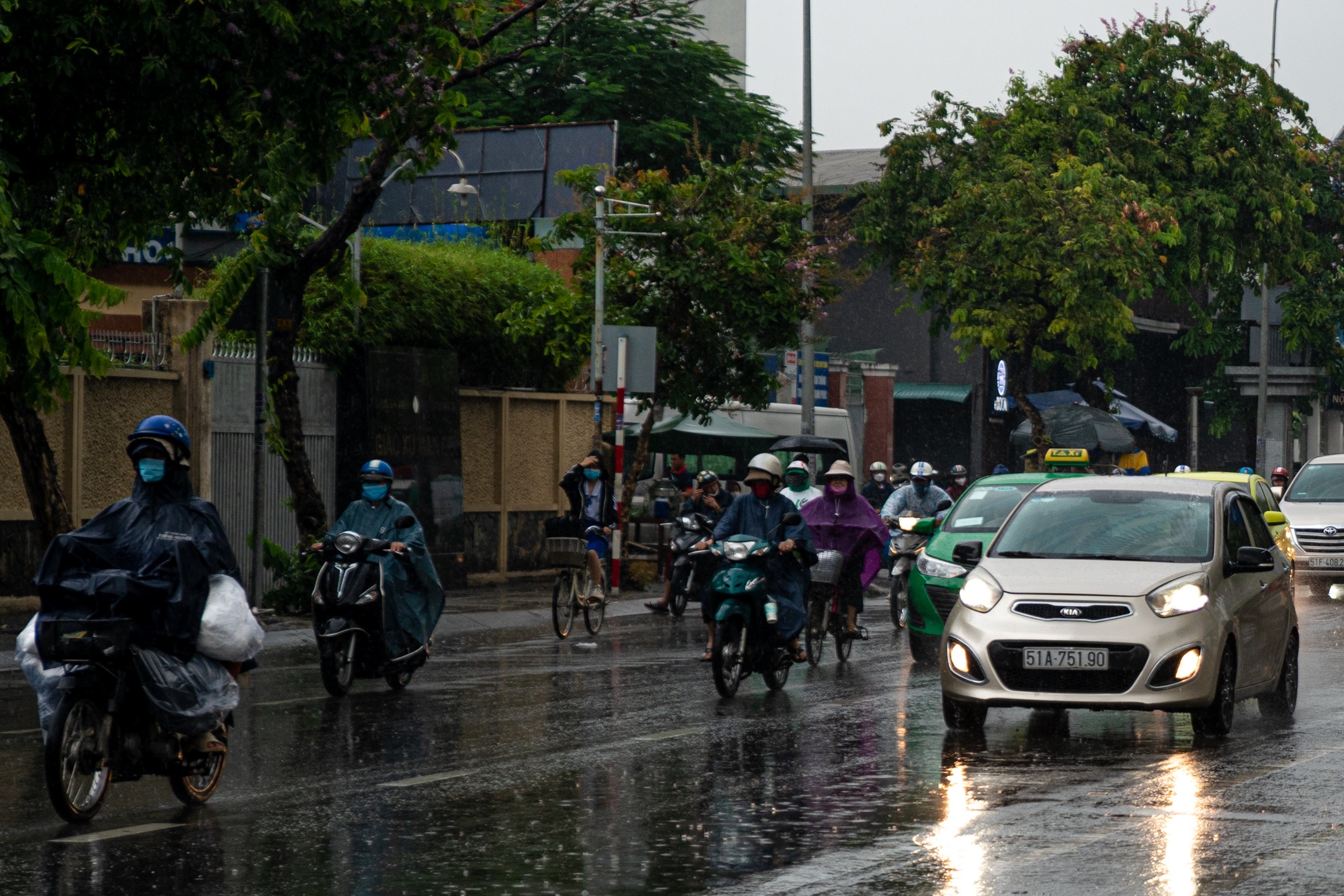 Mua dau mua tai TP.HCM anh 3