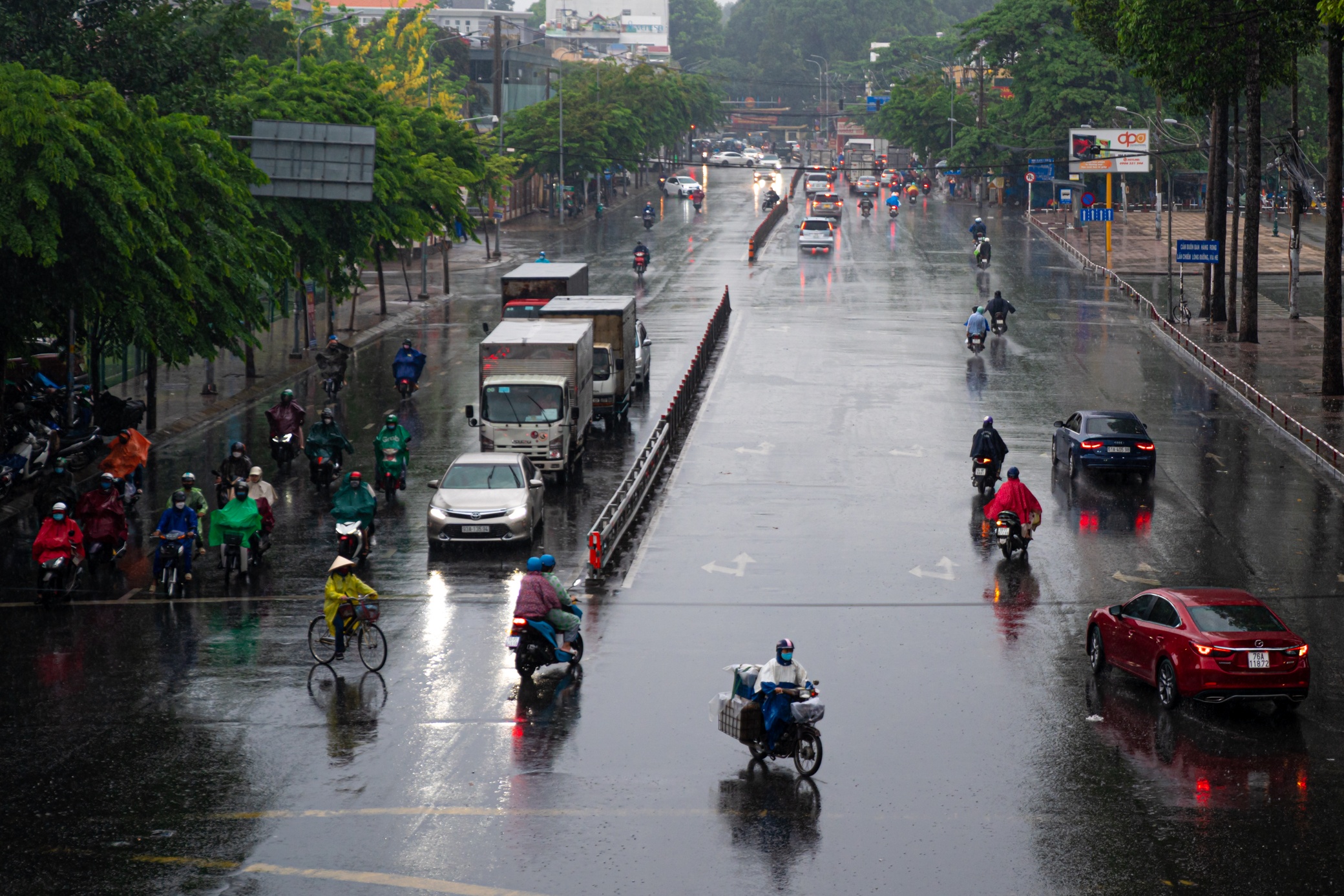 Mua dau mua tai TP.HCM anh 1