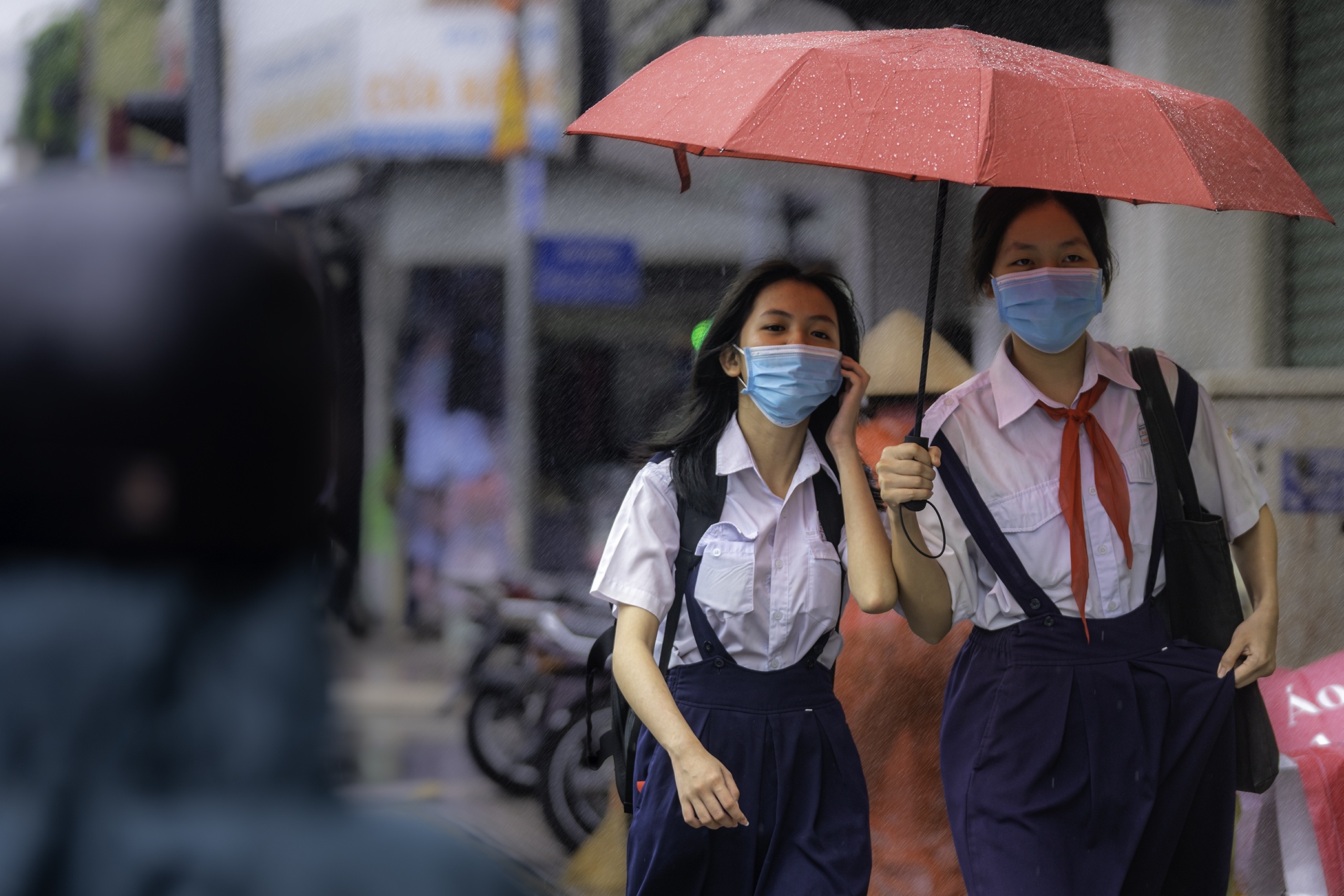 Mua dau mua tai TP.HCM anh 6