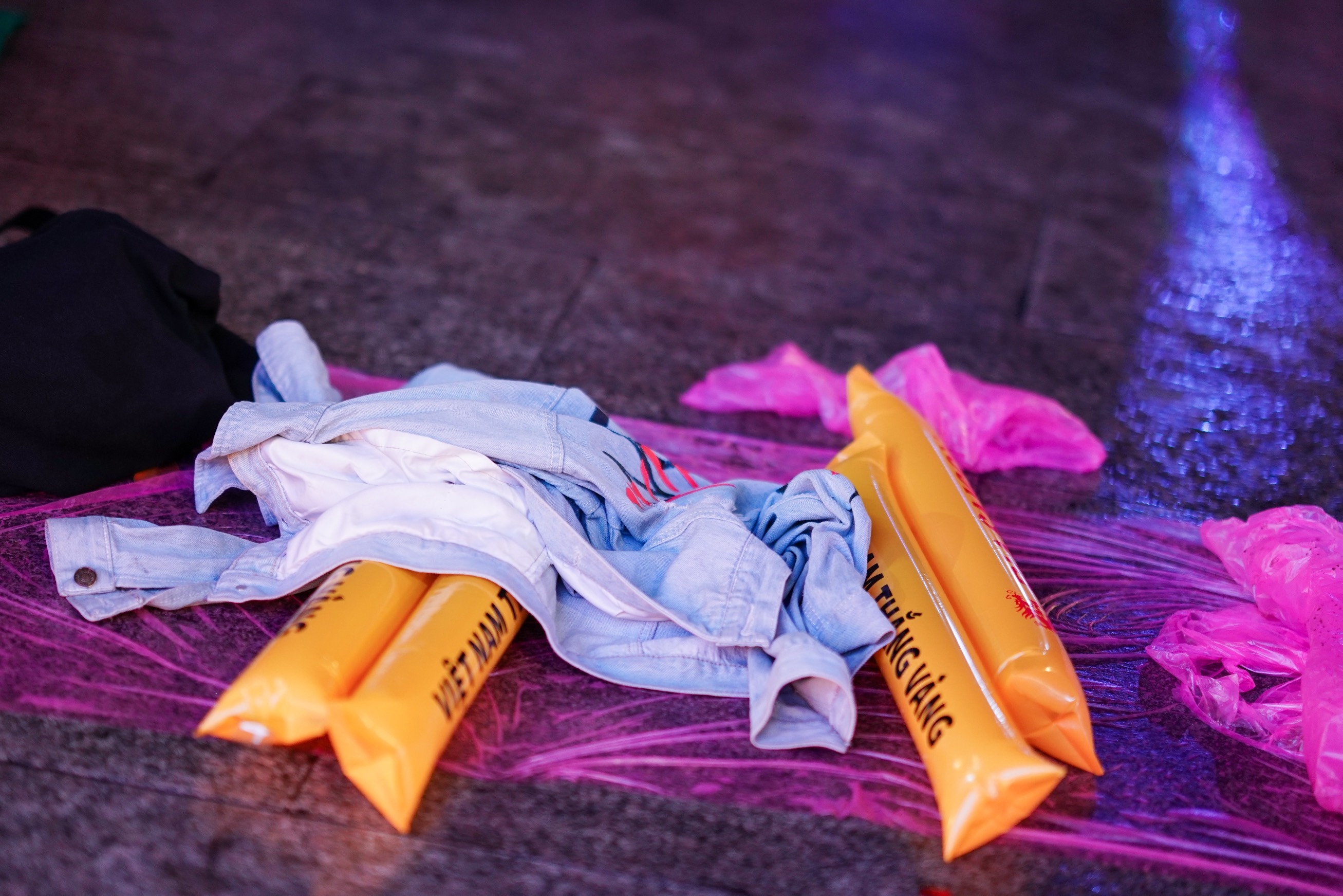 Viet Nam vo dich anh 11