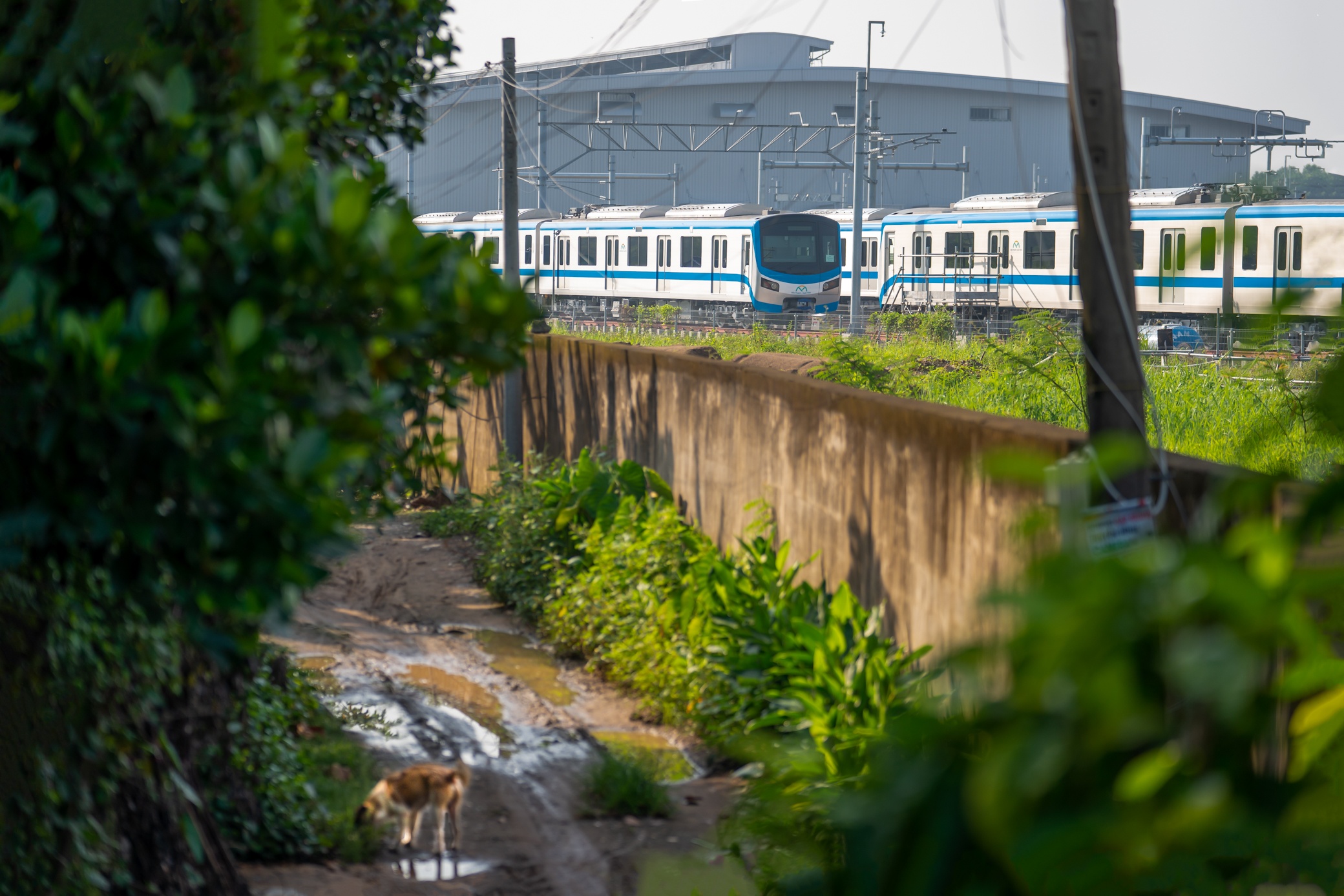 Tau Metro bi ve bay anh 7