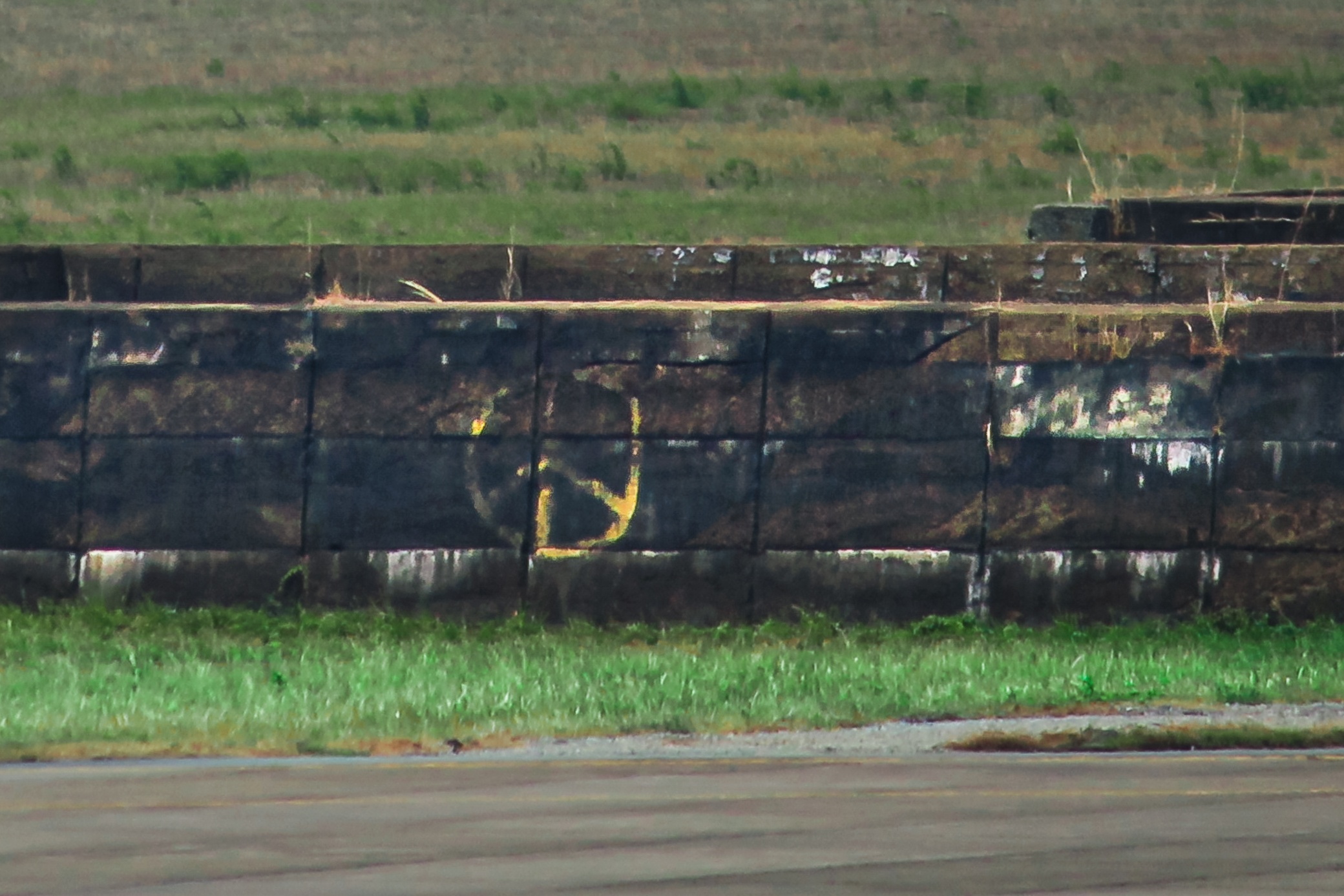 12 u be tong sap bi thao do tai san bay Tan Son Nhat anh 7