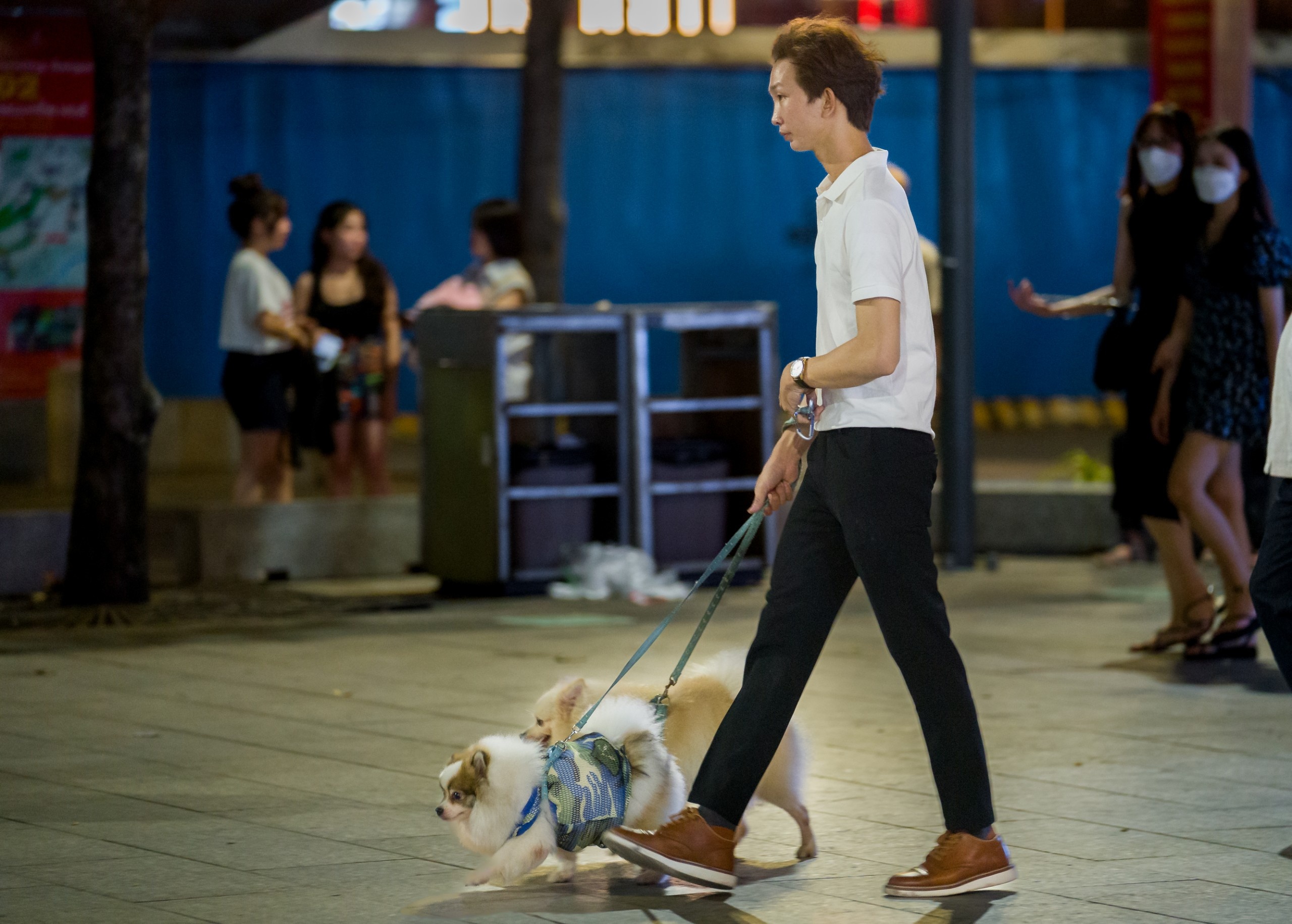 Pho di bo Nguyen Hue bat nhao anh 14