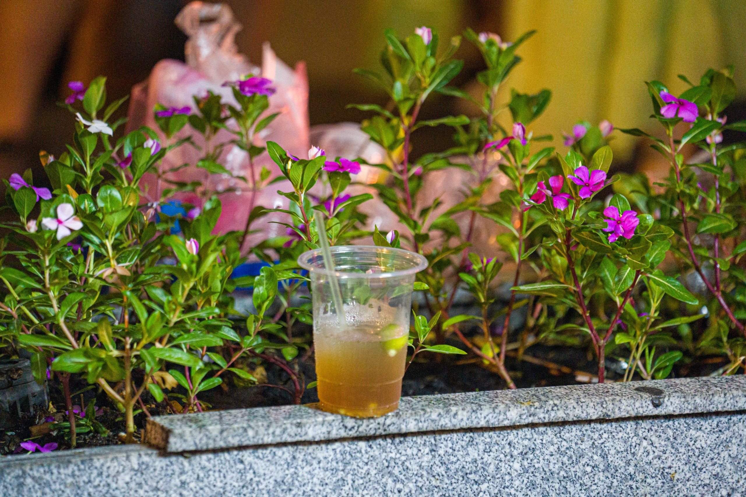 Phố đi bộ Nguyễn Huệ bát nháo ảnh 8 Pho di bo Nguyen Hue bat nhao anh 8