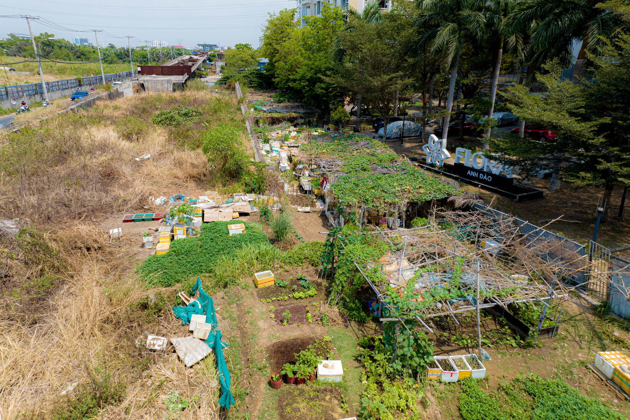 Cay cau cham tien do anh 6