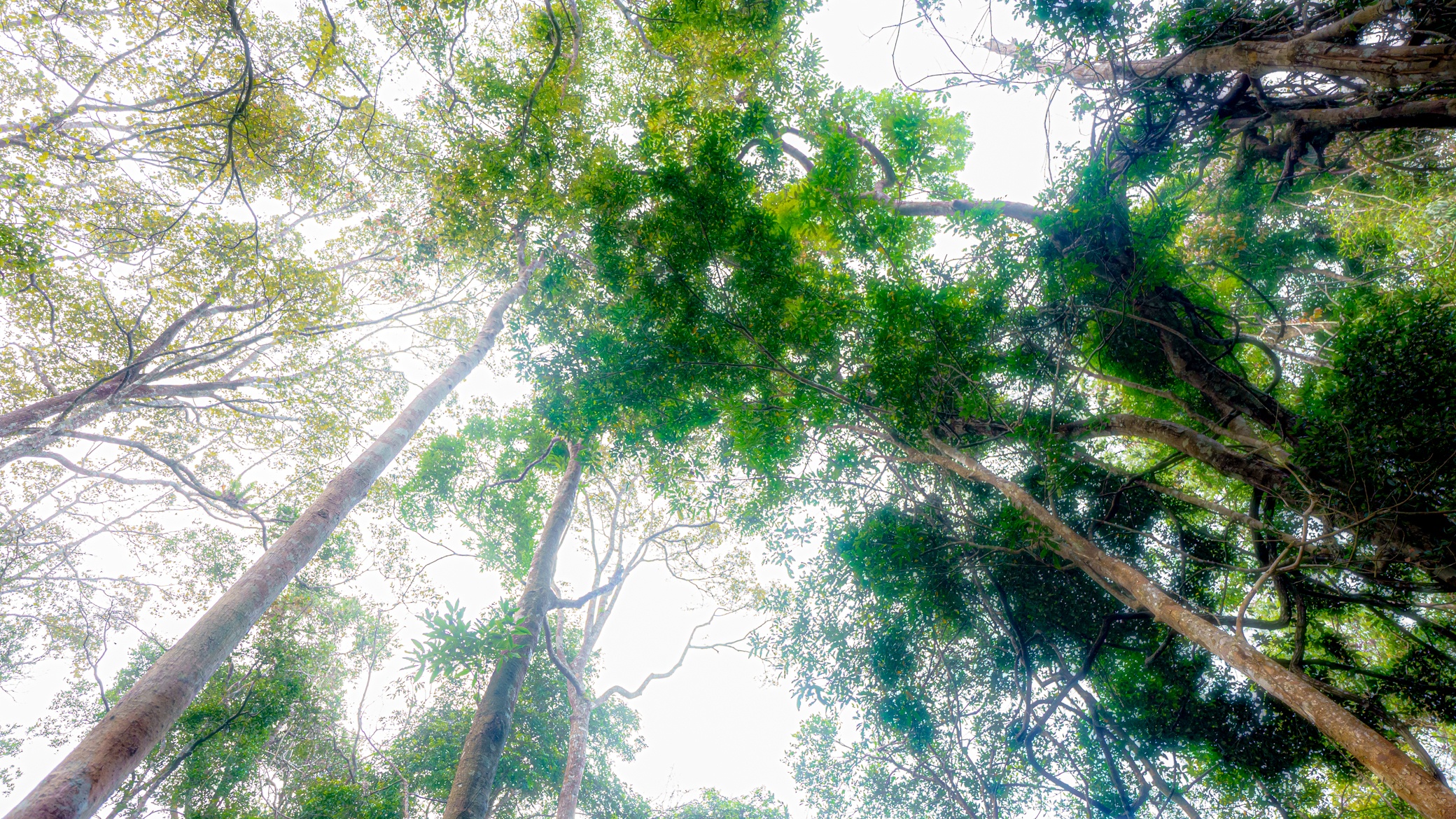 Thac K50 Hung Vi anh 17