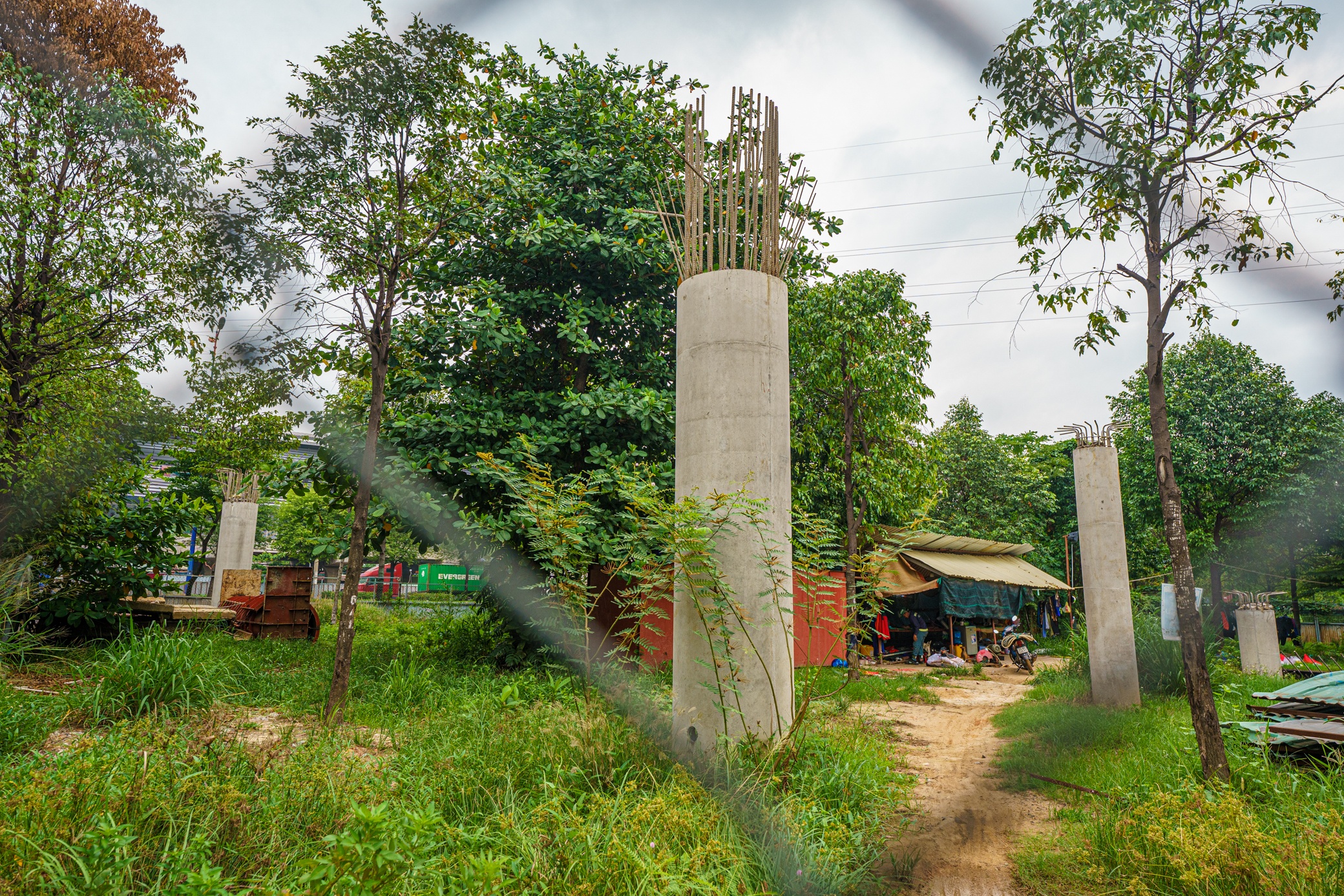 Cau vuot bo hanh TP.HCM anh 8