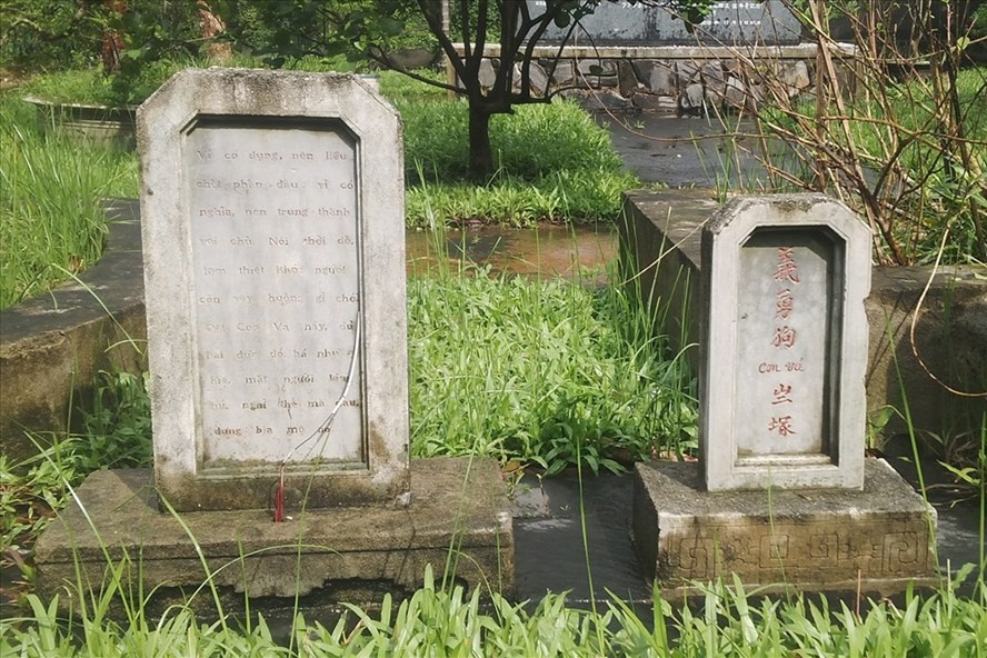 Cu Phan Bo Chau lap mo phan cho cho anh 1