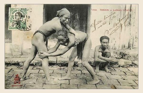 Vi vua di den ngai vang tu soi vat hinh anh