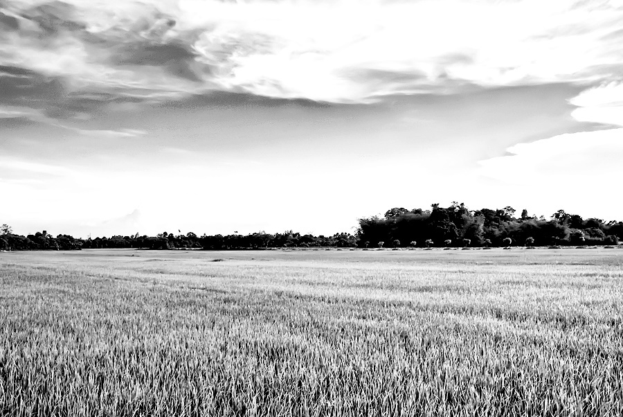 Nha Le so biet dai quan vien anh 1