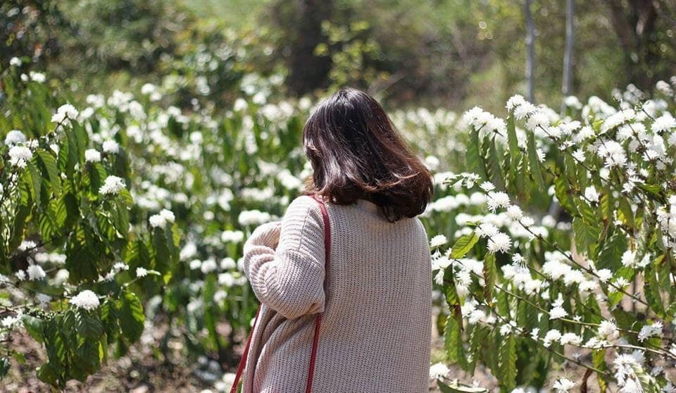 Anh co ve Dak Lak voi em khong? hinh anh