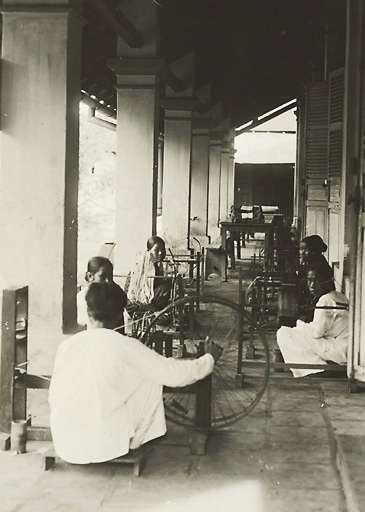 Vung dat Ben Tre anh 3