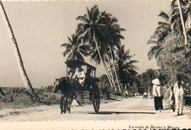 Nghe det lua o Ben Tre dung khung det tu dong Jacquard tu nam 1929 hinh anh