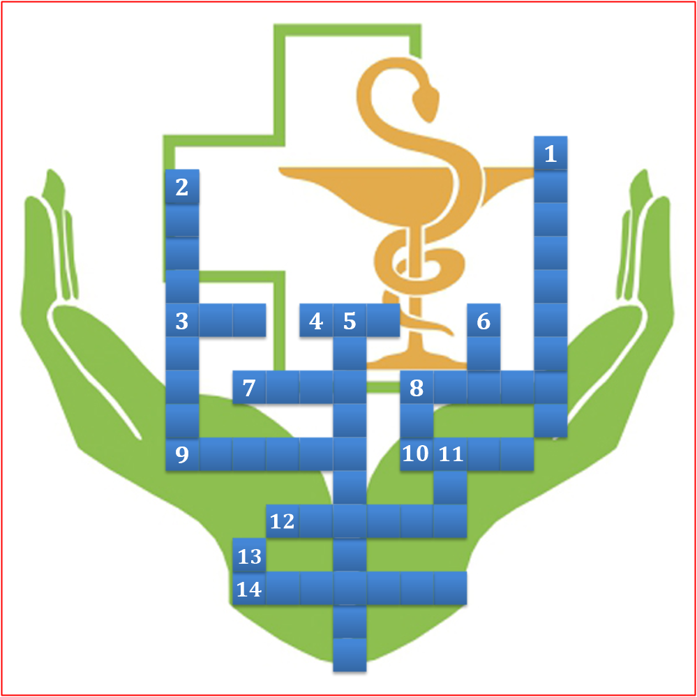 O chu luong y nhu tu mau anh 1