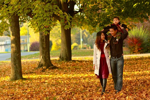 Hanh phuc khong mien phi, nen hay song phang ma danh doi hinh anh