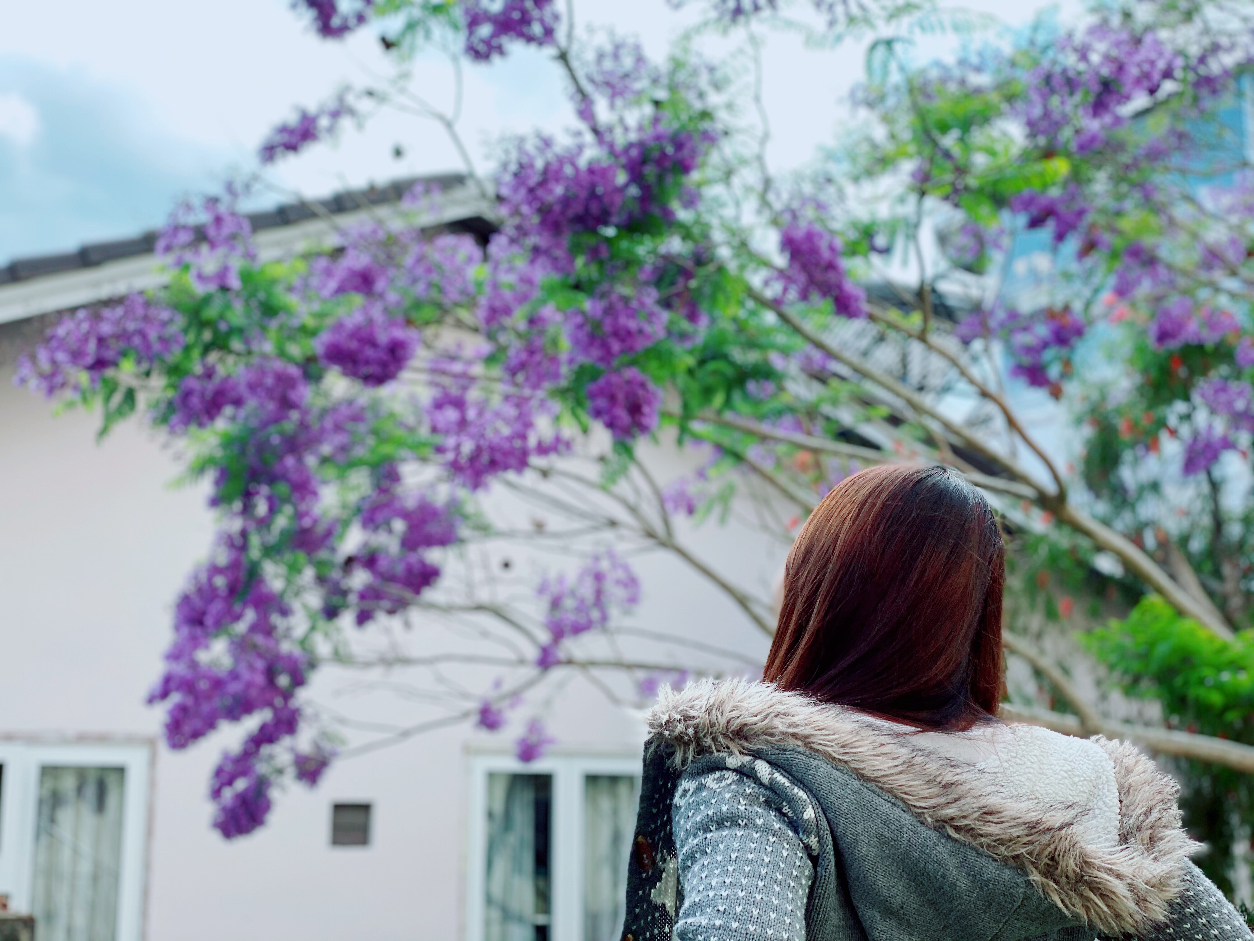 Cu vay ma quen di! hinh anh