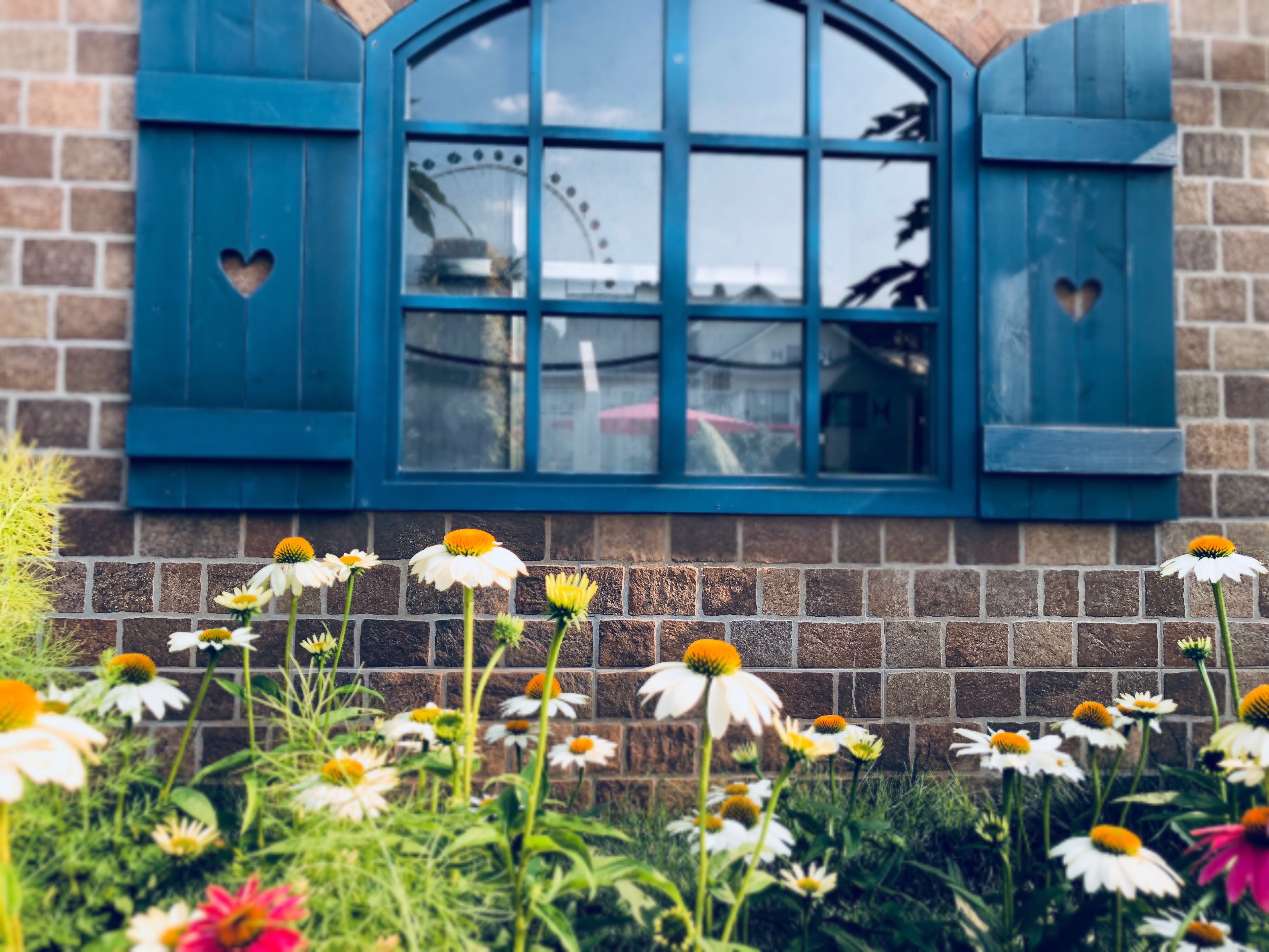 Roi se yeu lai anh 1