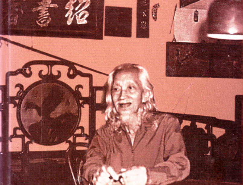 Van thi si ham doc sach anh 3