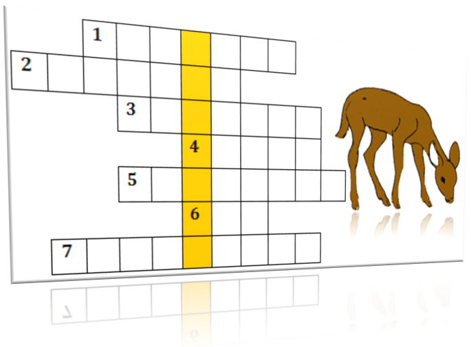 O chu con nai vang ngo ngac anh 1