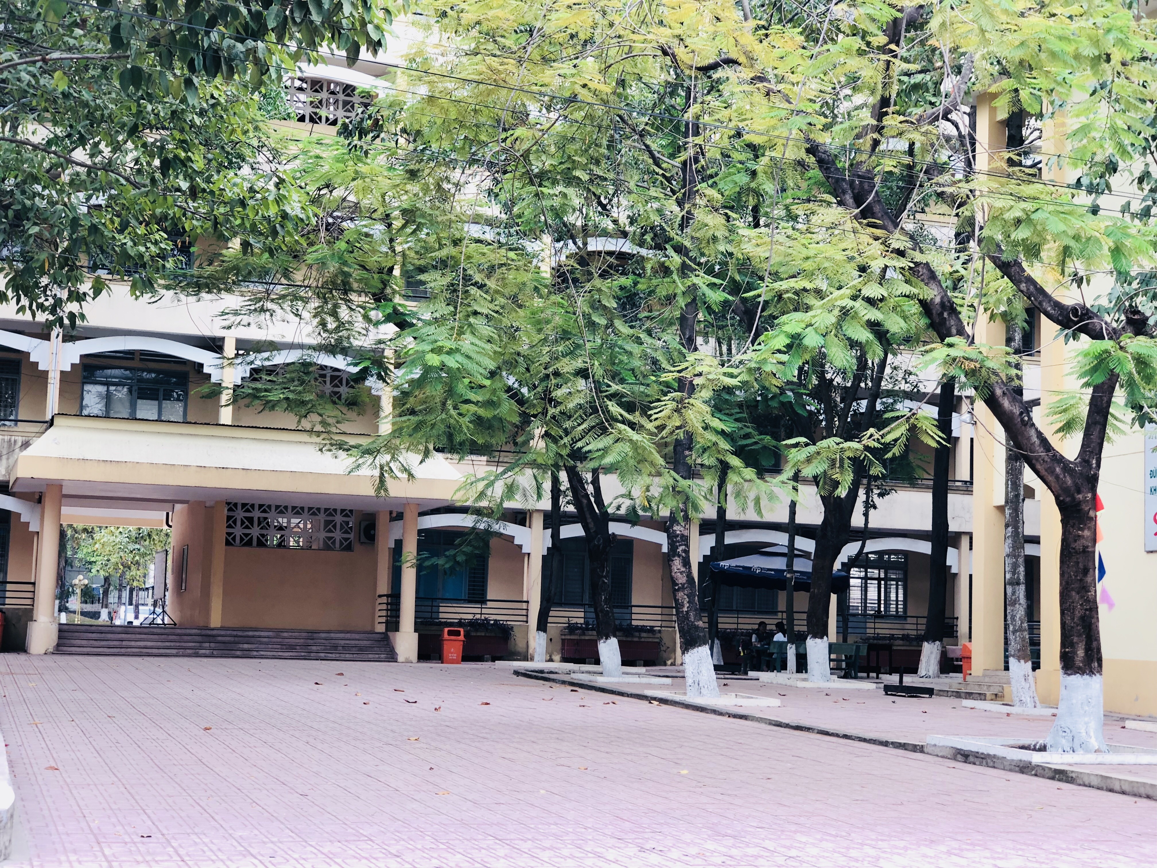 Yeu trong mua xa cach anh 2