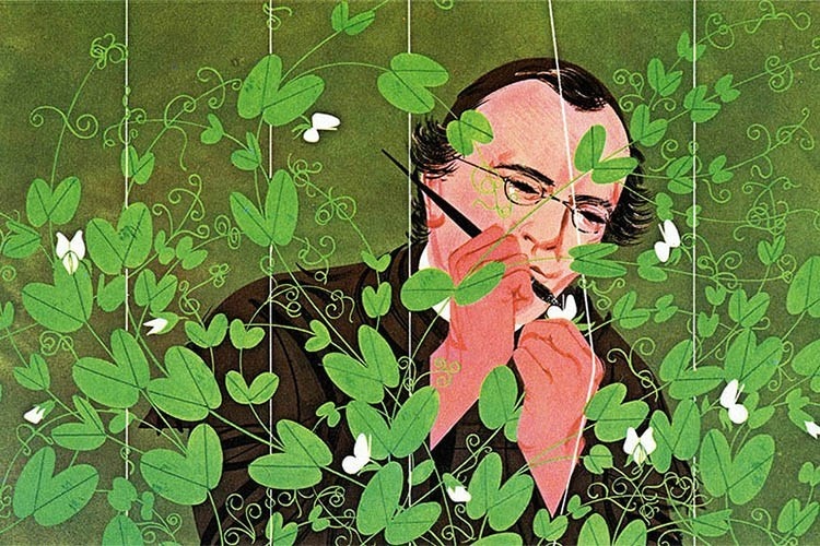 Nha bac hoc Robert Koch da co dong gop gi cho nen y hoc the gioi? anh 6