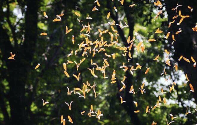 Em quen mat co thang tu vua den! hinh anh