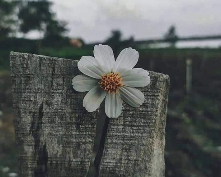 Khi minh lon,  niem dau cung lon! anh 2